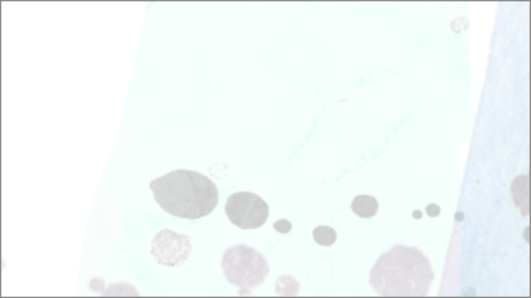 <b> Mona Manjot Dhaliwal - </b>  <p> Listening to WJLB </p>