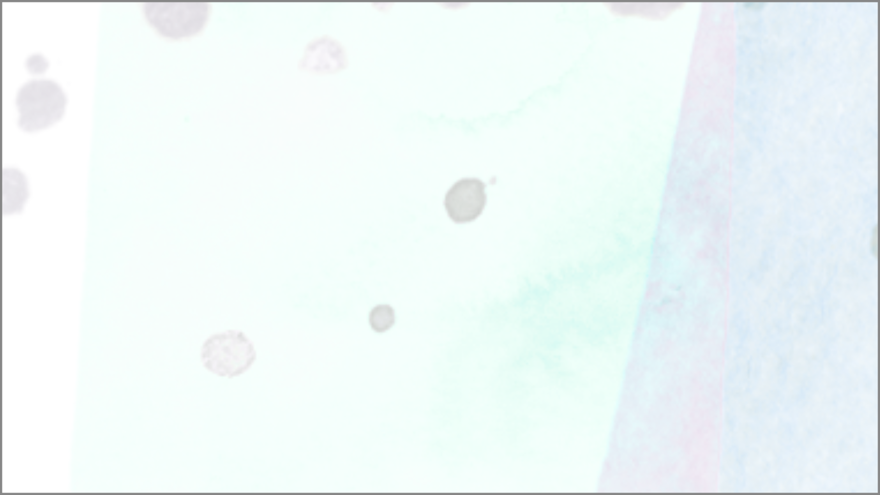 <b> Laura Theis - </b>  <p> two tortoises </p>