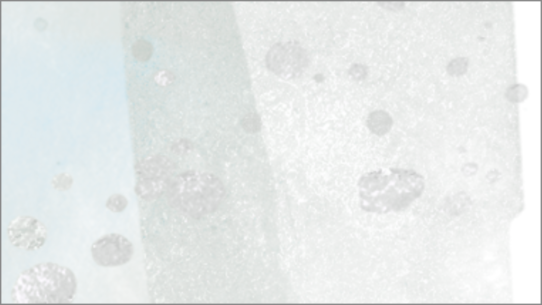 <b> Cecilia García - </b>  <p> Losing Adverbs, Losing Pronouns </p>