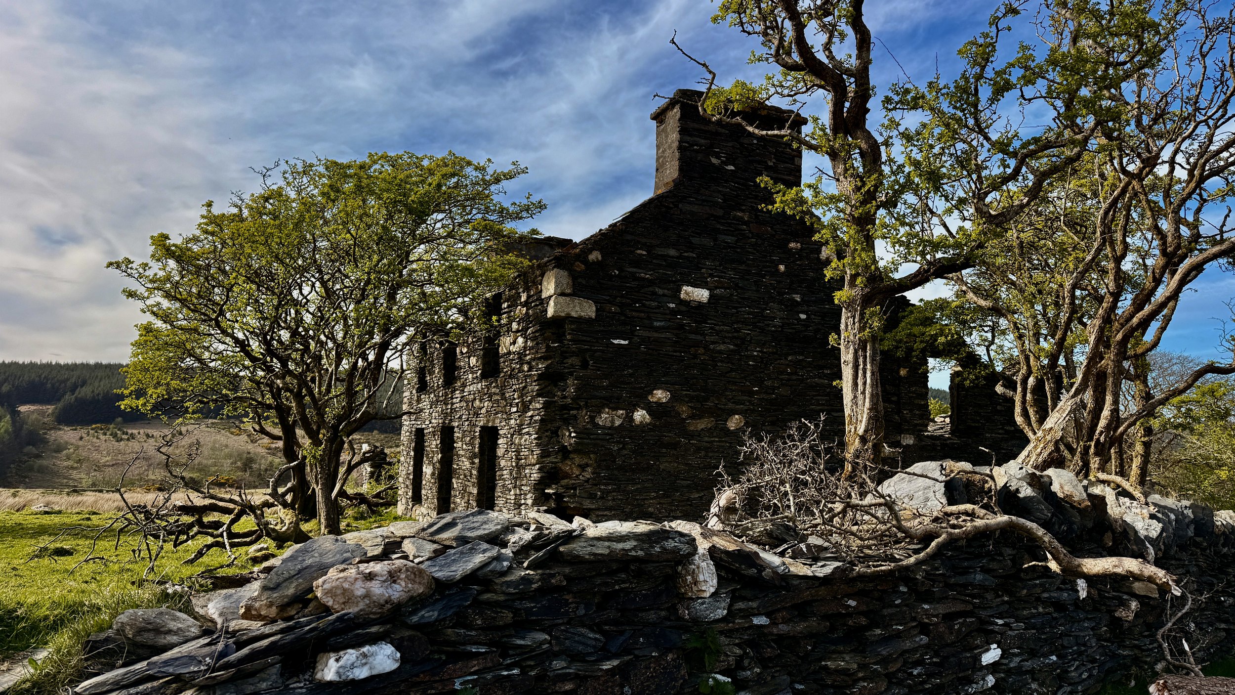 Abandoned stone house surrounded by trees and a stone wall in a rural landscape under a cloudy sky.
