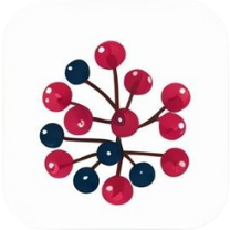 Sambucus Nigra (Black Elderberry)