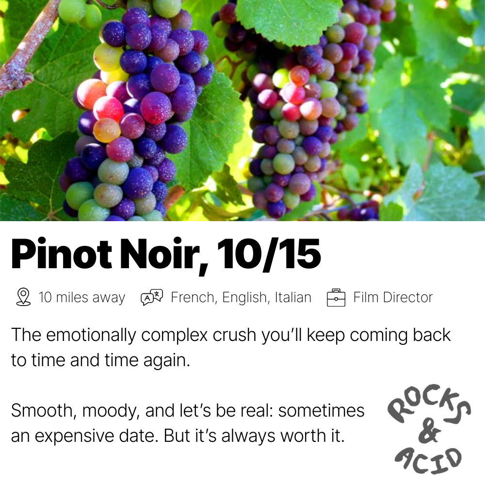 10 pinot noir.png