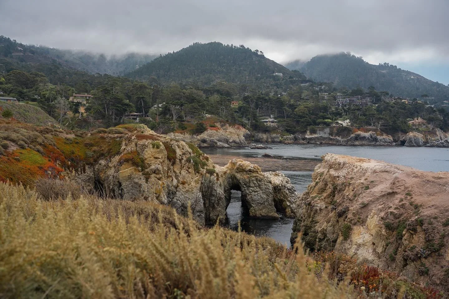 Point Lobos, Carmel-by-the-Sea, California