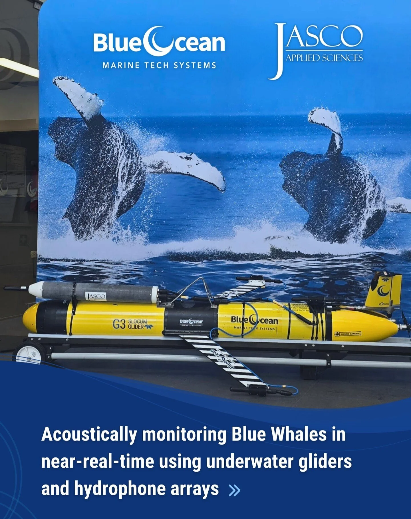 Acoustically monitoring Blue Whales in near-real-time using underwater gliders and hydrophone arrays. 🐳

Blue Ocean Marine Tech Systems and JASCO Applied Sciences successfully completed an 18-day self-funded blue whale monitoring program using two u