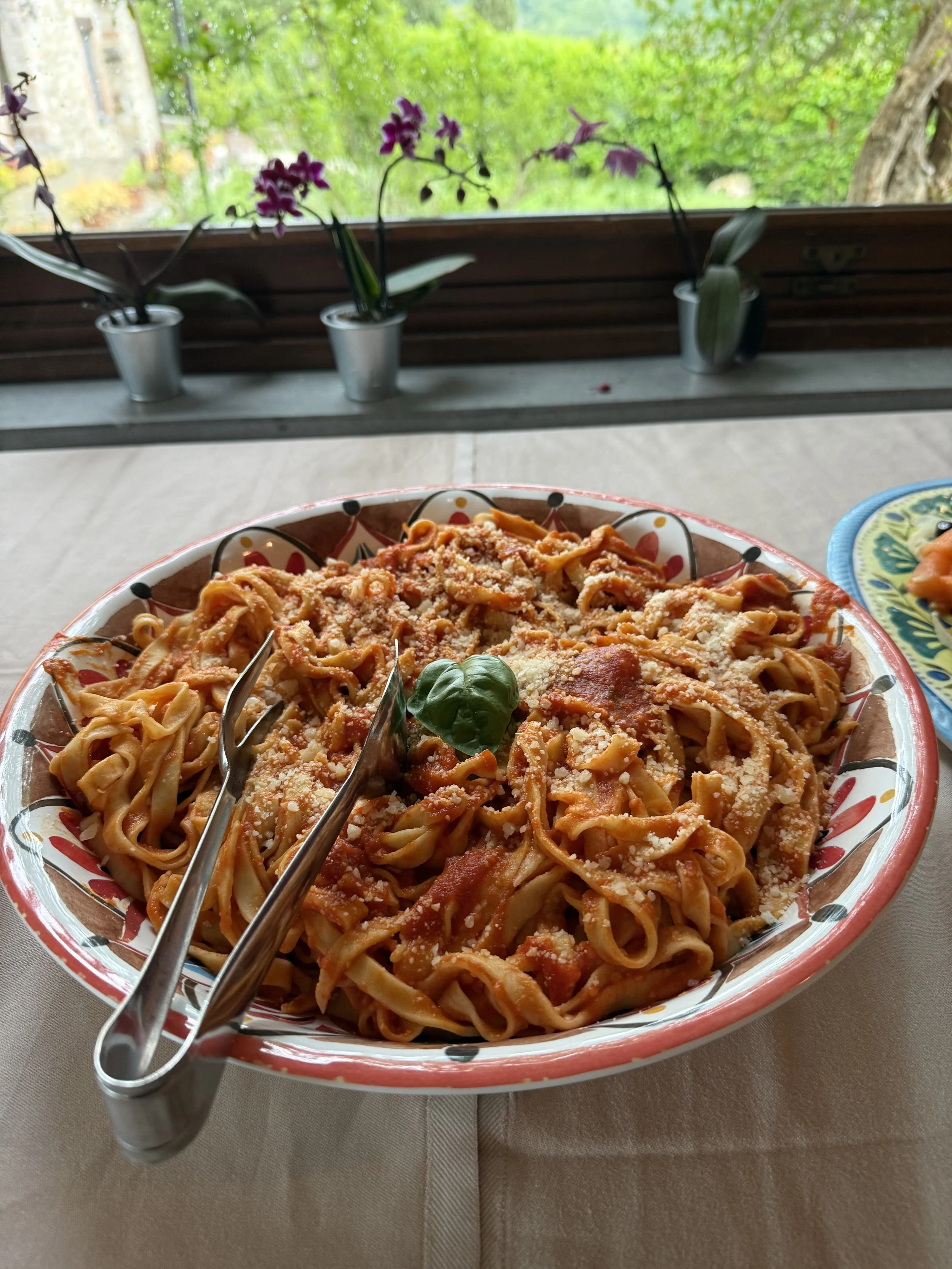 A bowl of pasta with tomato sauce, sprinkled with grated cheese and a basil leaf, on a beige tablecloth, with decoratively painted bowl and a blue plate nearby. In the background, a window shows green trees and plants outside.
