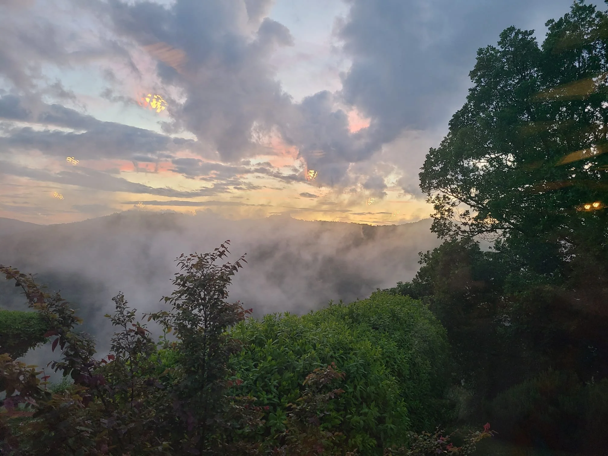 A landscape view of a cloudy sky at sunset over a foggy valley with trees and green bushes in the foreground.
