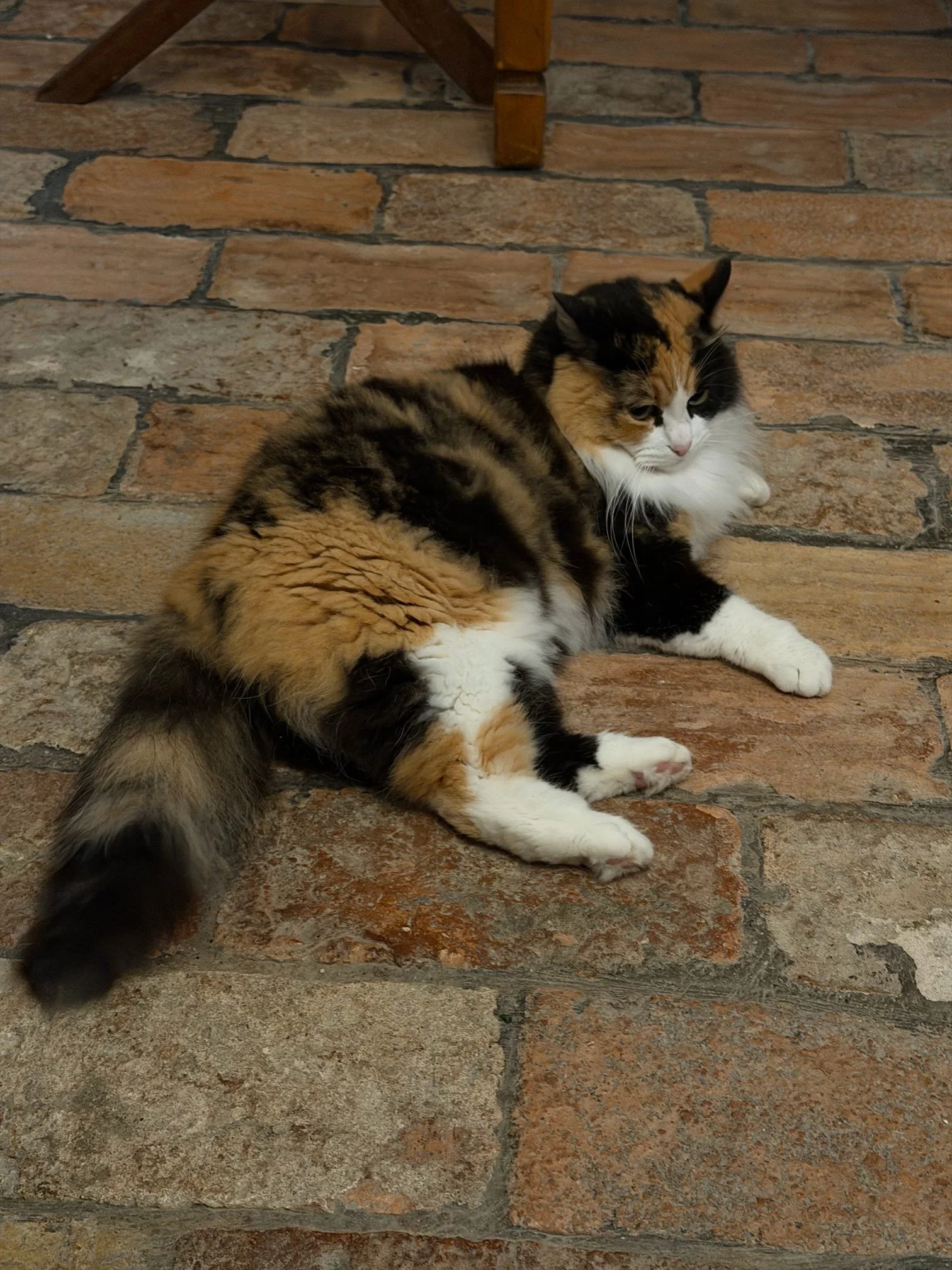 Two cats lying on a brick floor next to a wooden table leg.