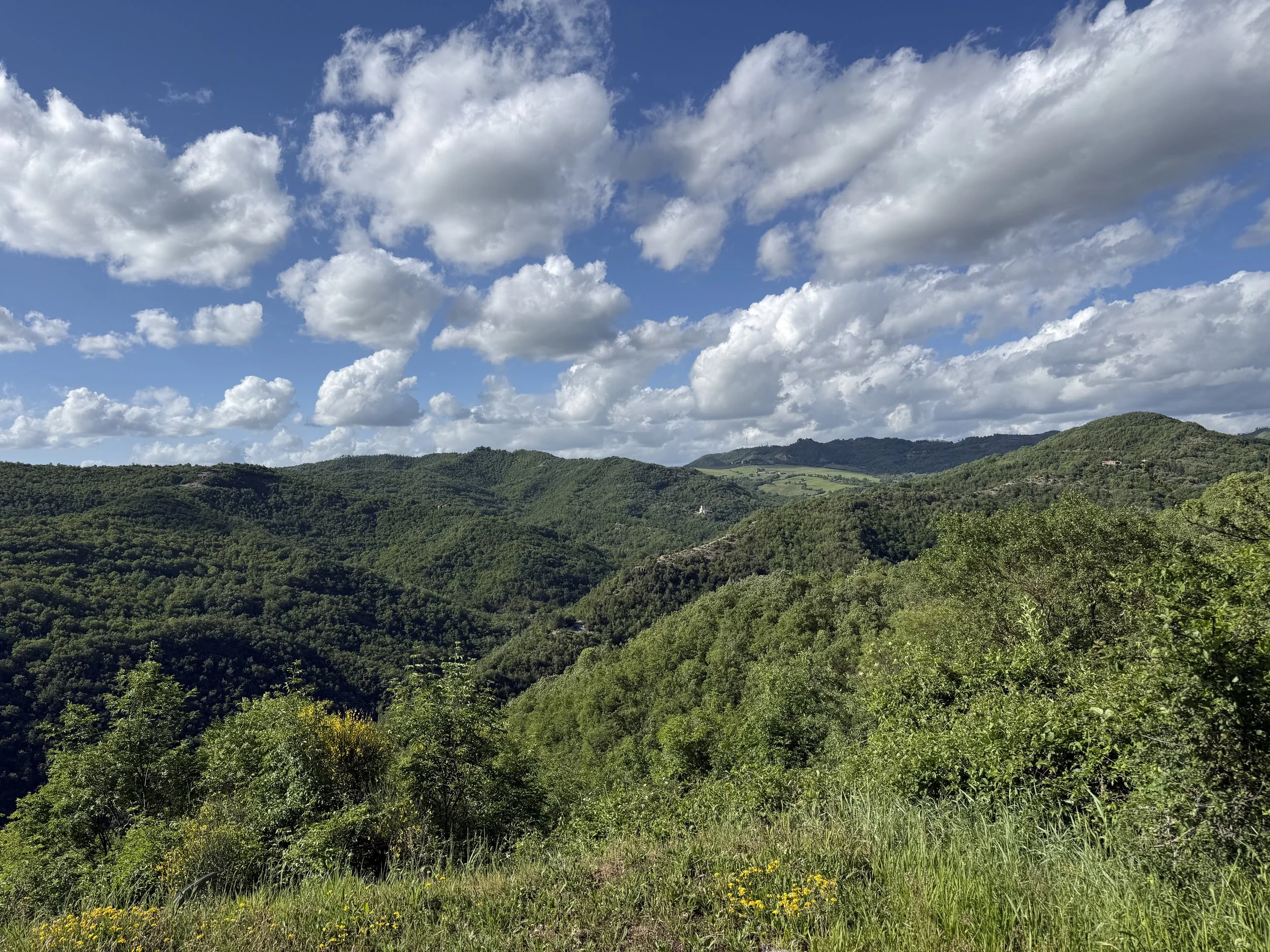 Scenic view of lush green hillside under a partly cloudy blue sky.