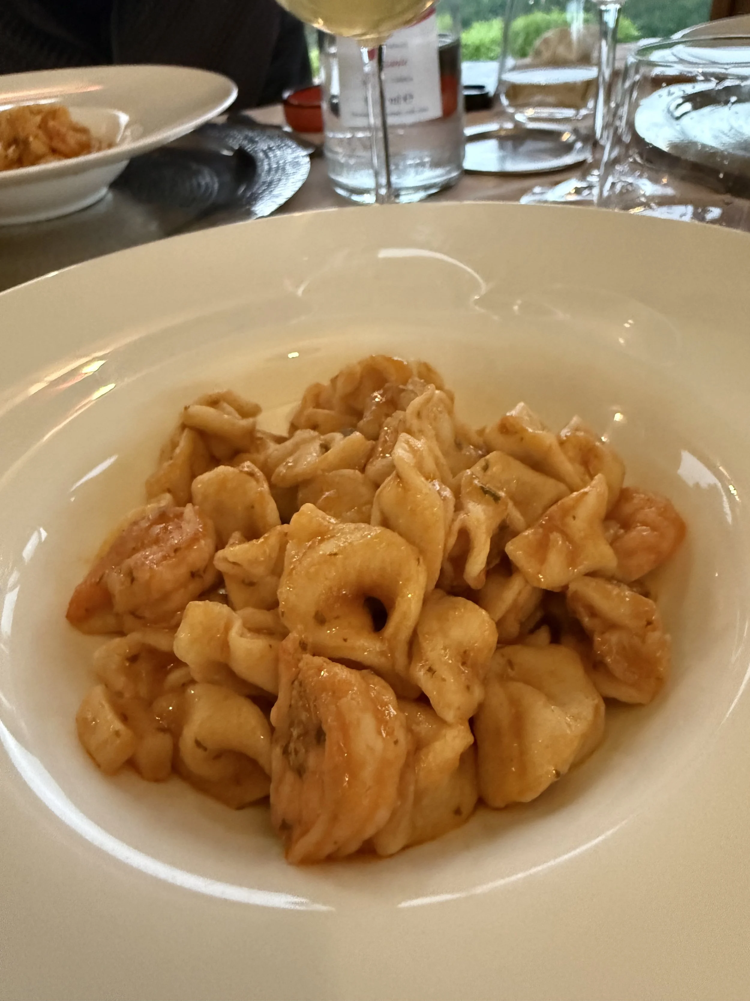 A white bowl filled with small, cooked pasta with a creamy sauce