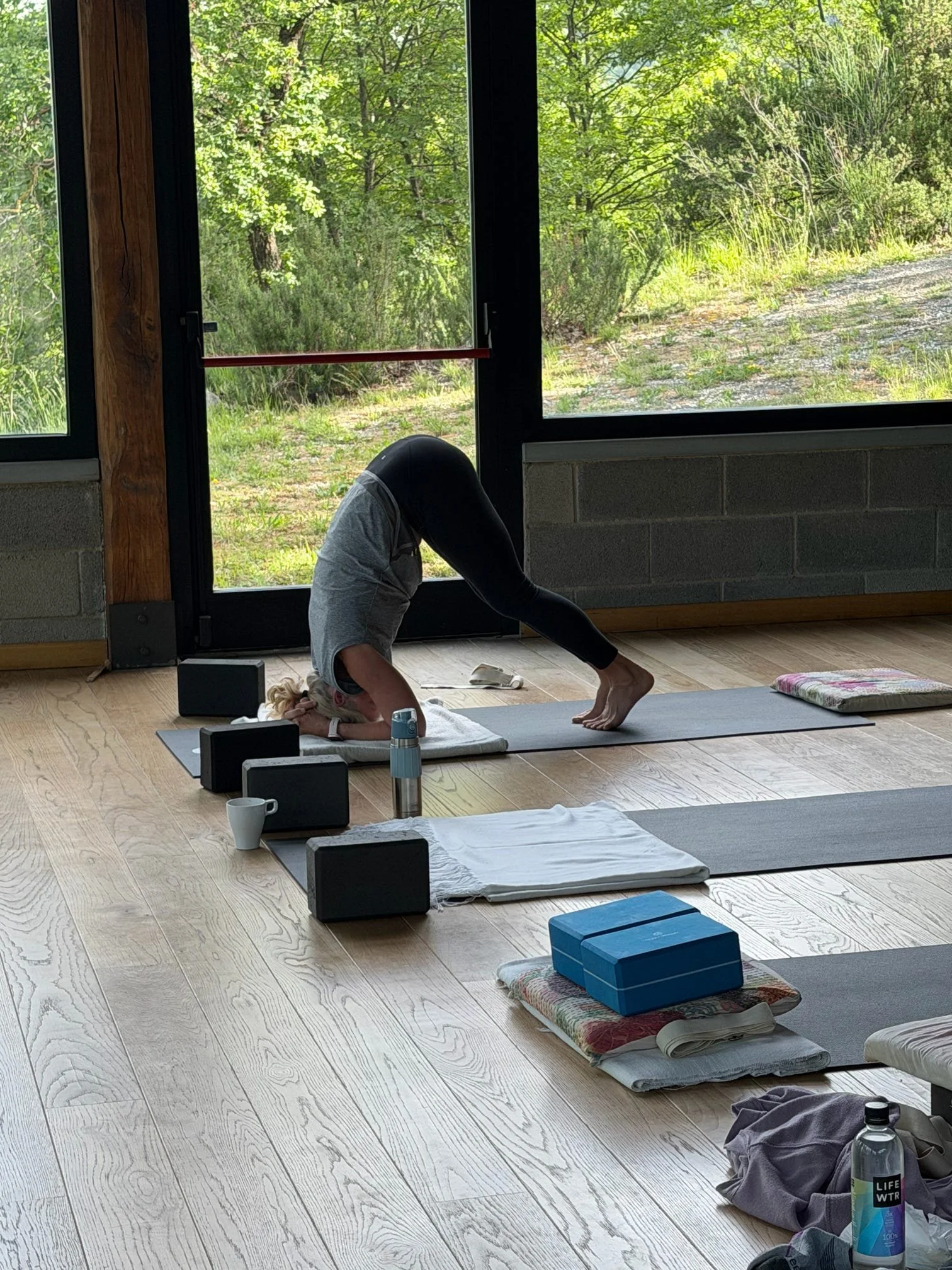 Indoor yoga class setup with mats, blocks, water bottles, and towels, near large windows revealing greenery outside.