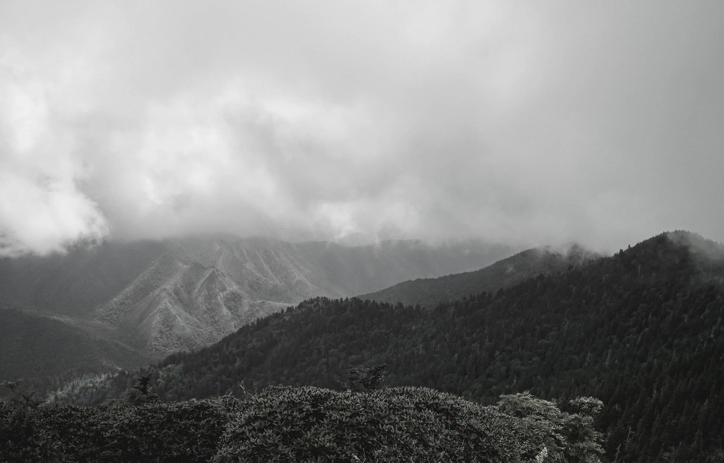 Misty mountain landscape symbolizing clarity and growth — Stout Consulting