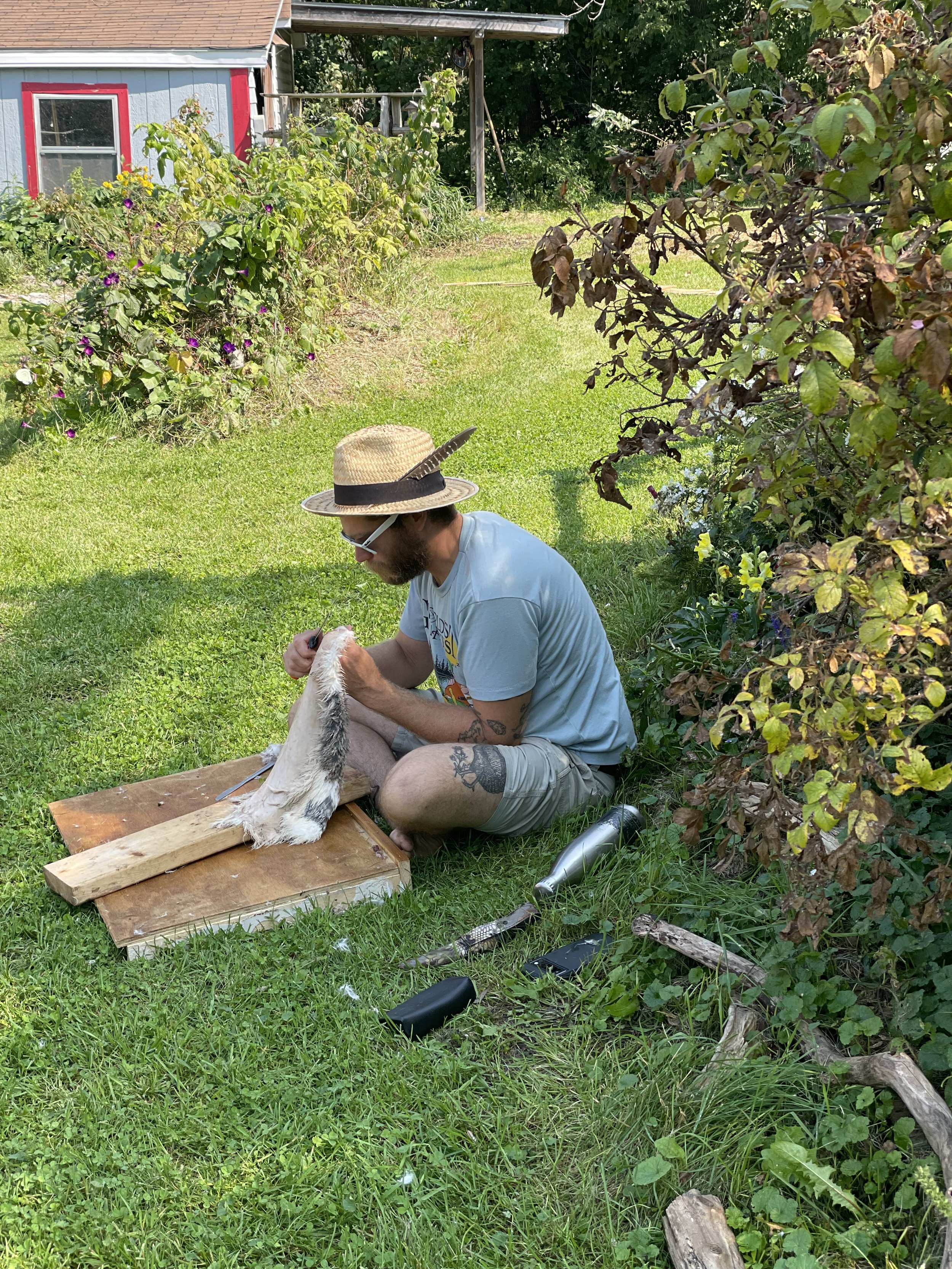 Person sitting on grass working on a piece of animal fur, wearing a straw hat and sunglasses, in a garden with a small building in the background.