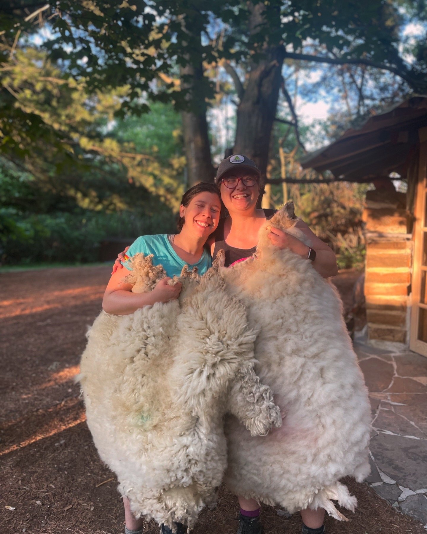 Two people holding large pieces of wool outside near trees and a building.