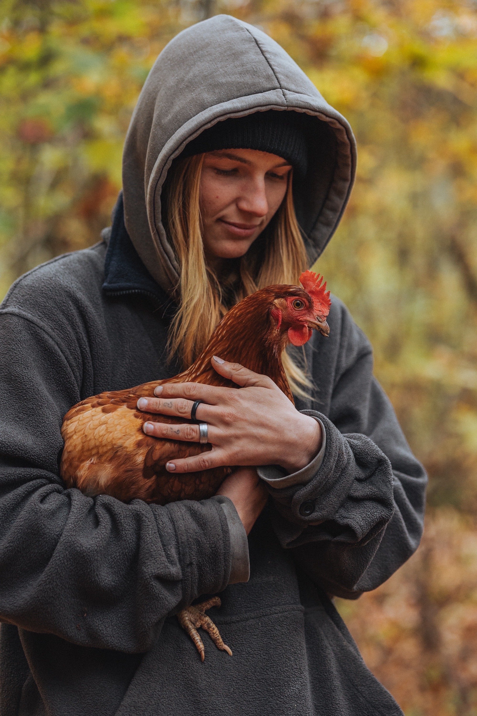 Person holding a brown chicken outdoors, wearing a gray hoodie and black beanie.