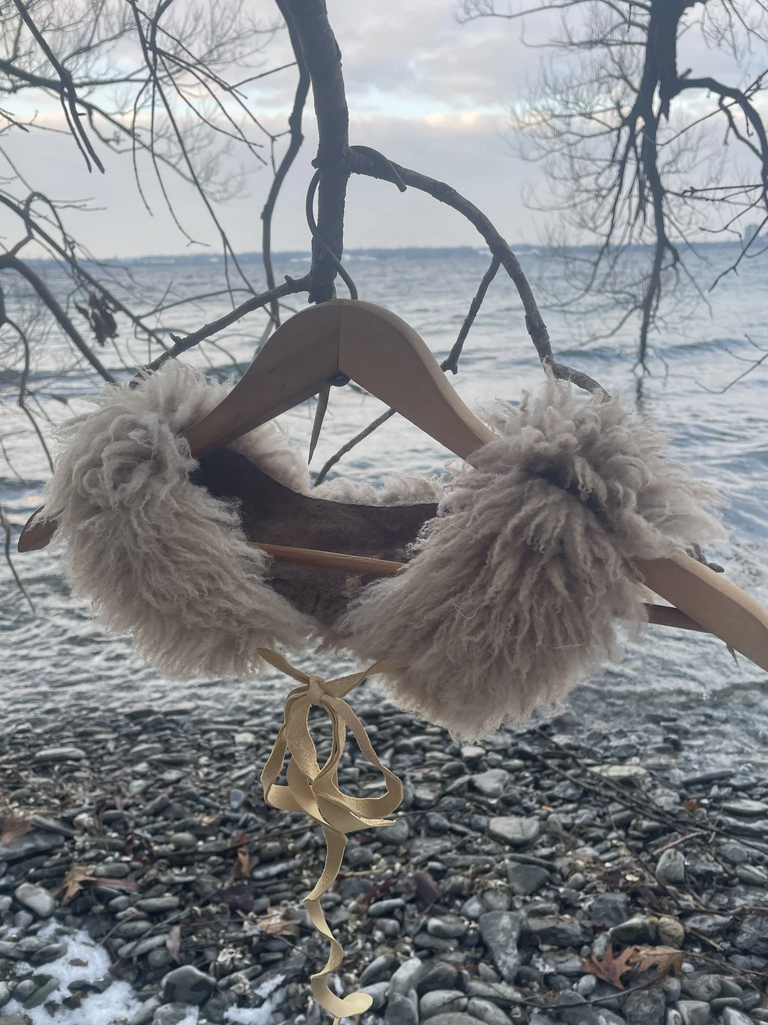 Watershed Sheep collar