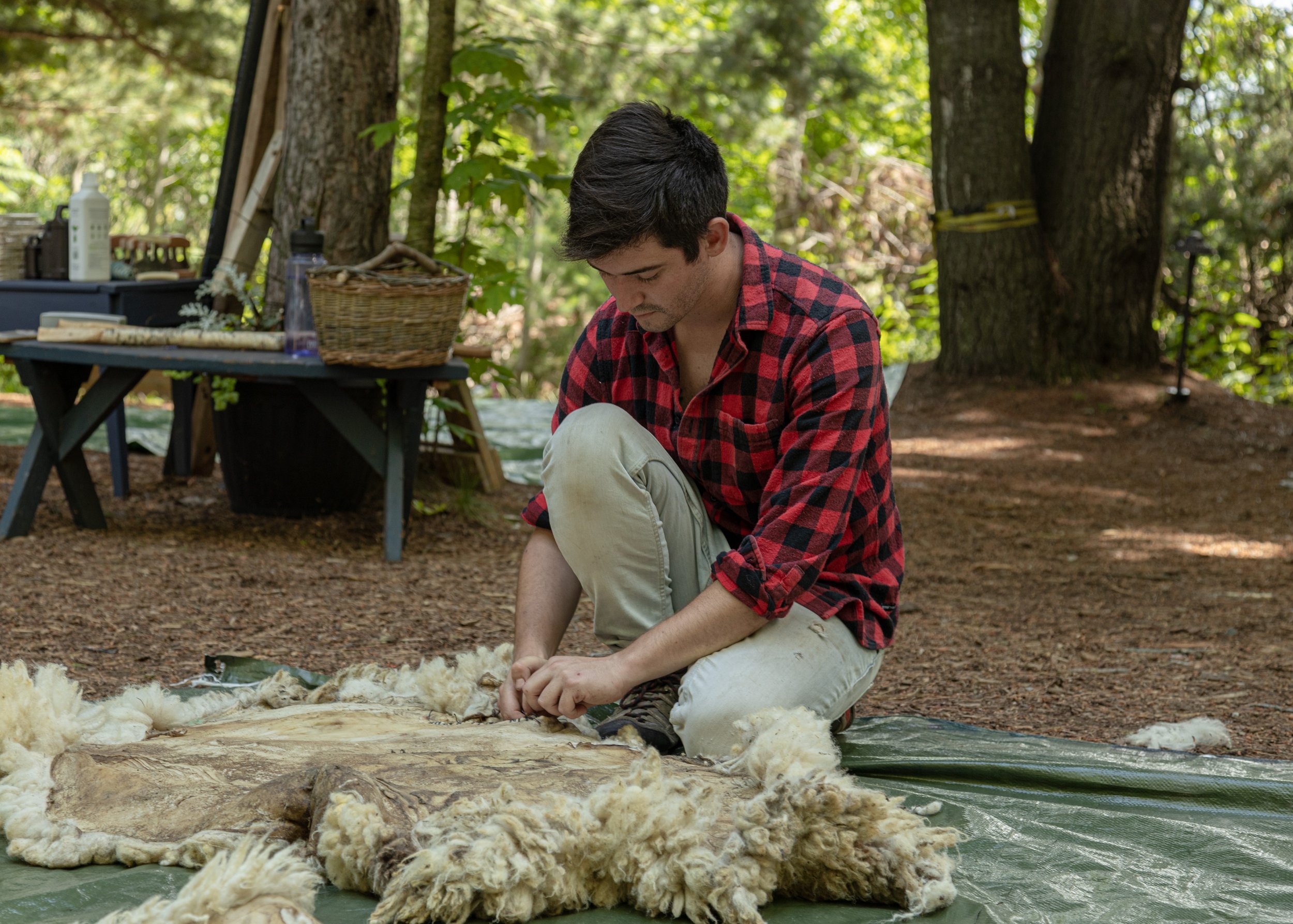 Person in a red checkered shirt and beige pants working on a sheepskin outdoors with trees and a picnic table in the background.