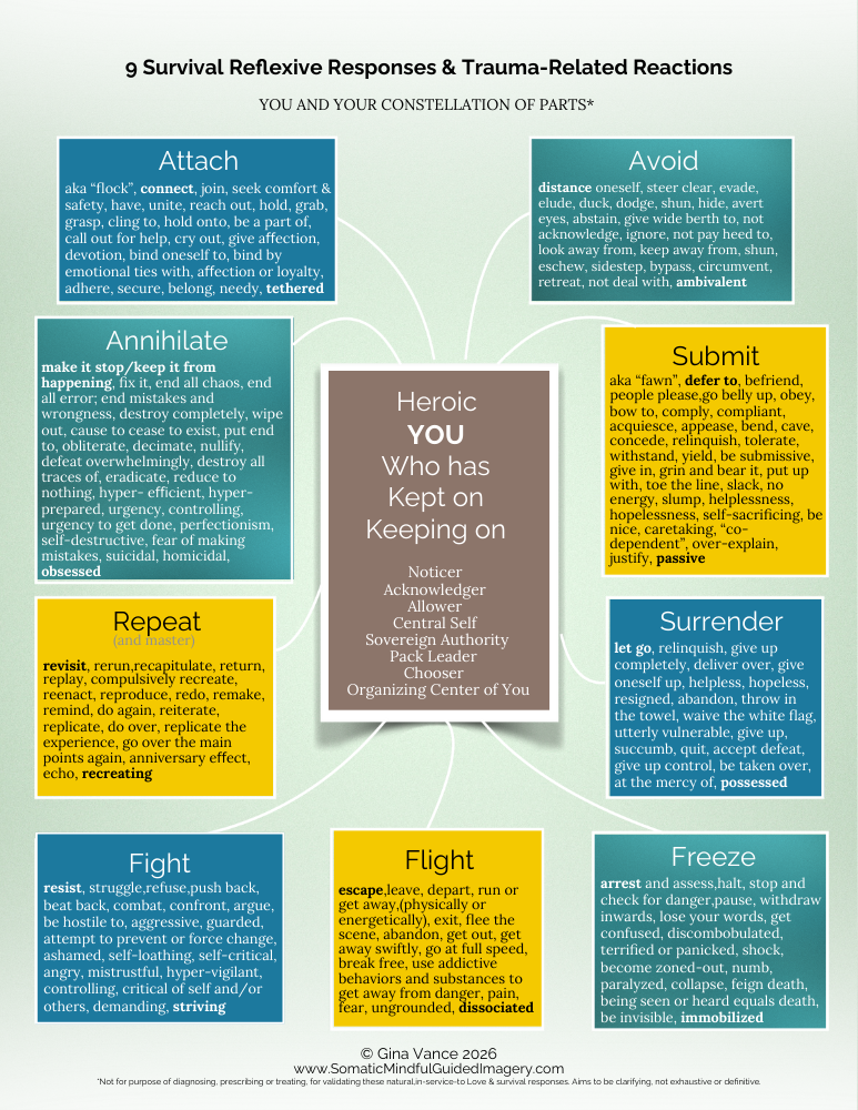 9 Survival Reflexive Responses & Trauma-Related Reactions