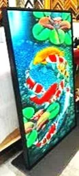fish+in+water.jpg