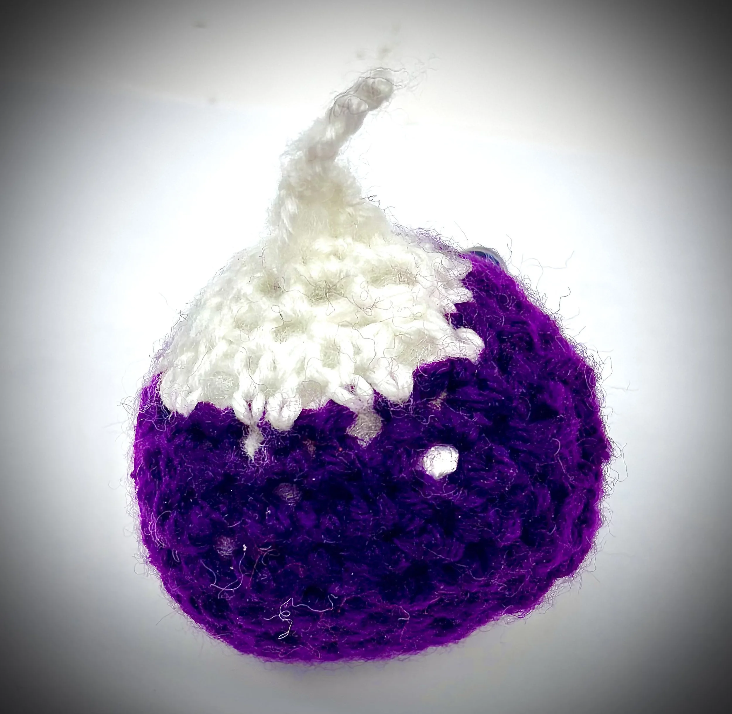 Radish Back Picture.jpeg