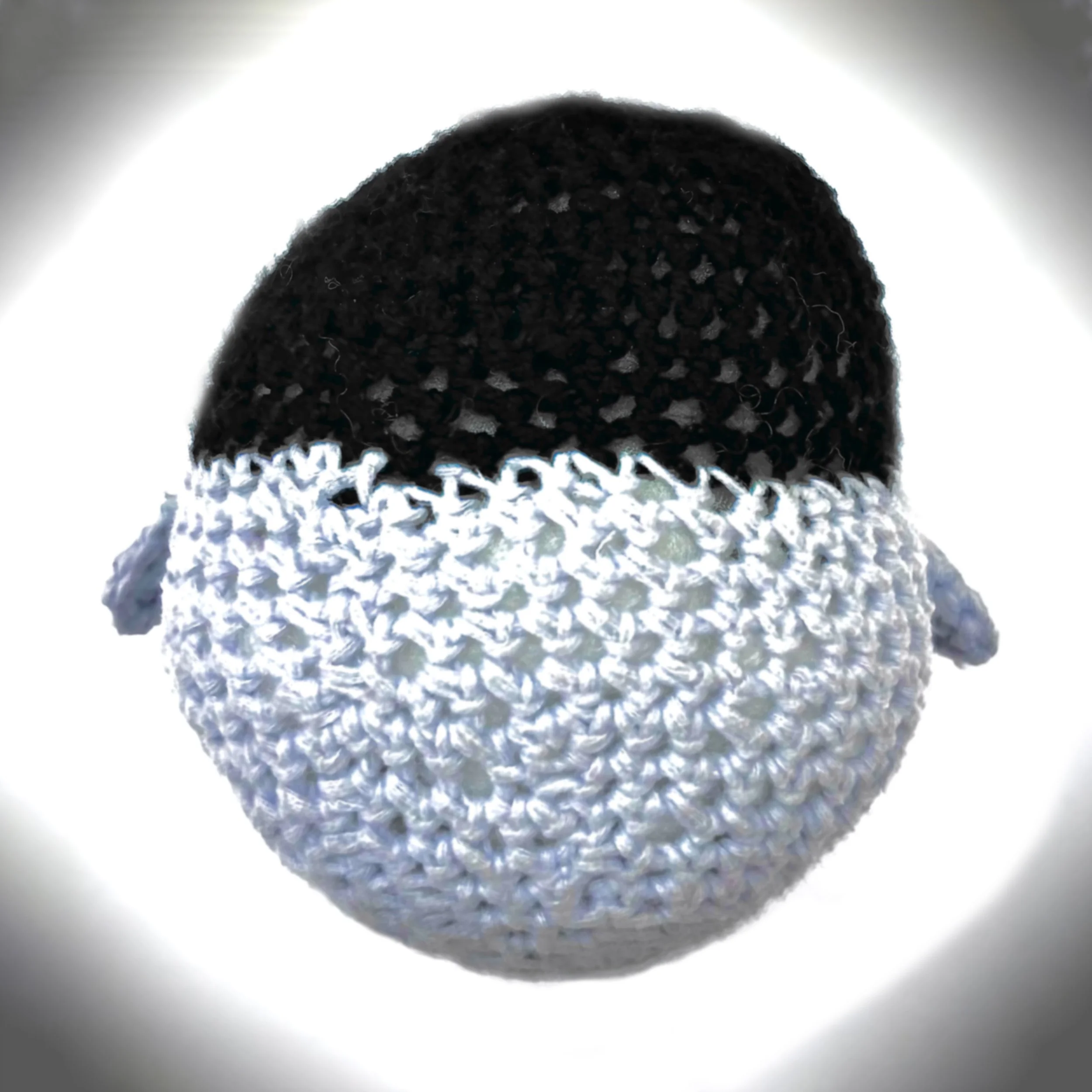 Penguin Back Photo.jpg