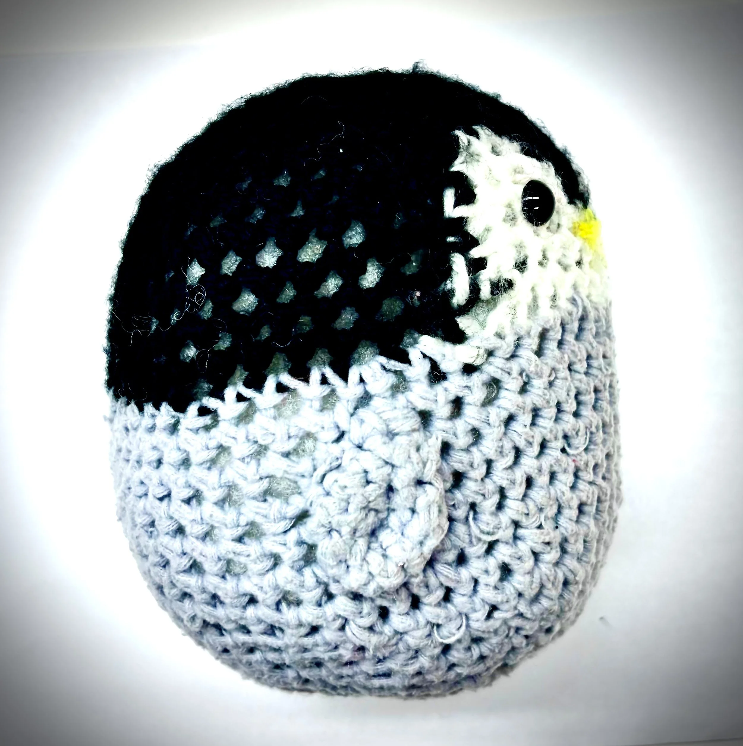 Penguin Side PIcture.jpeg