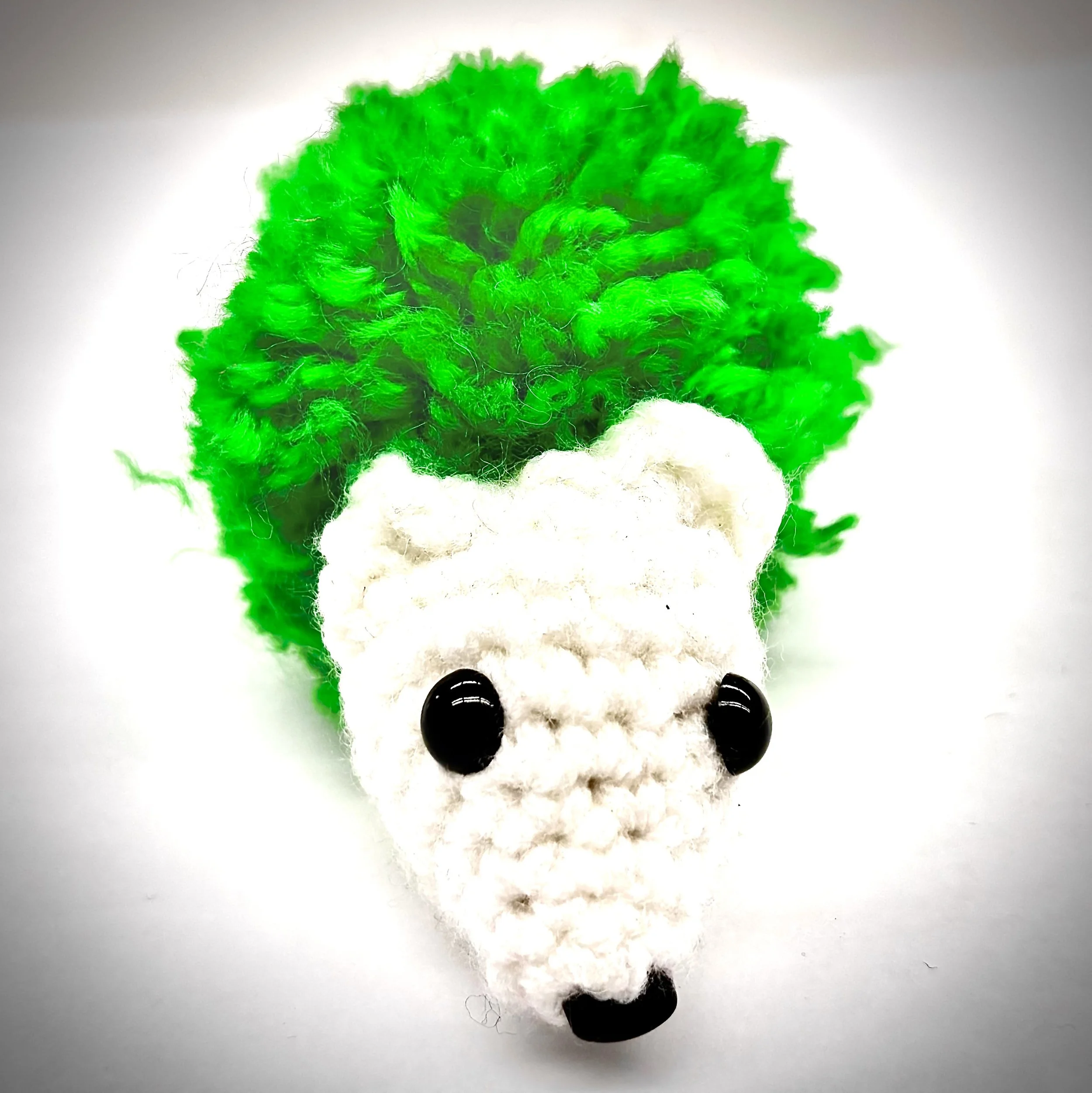 Crochet Green Hedgehog Front Photo.jpeg