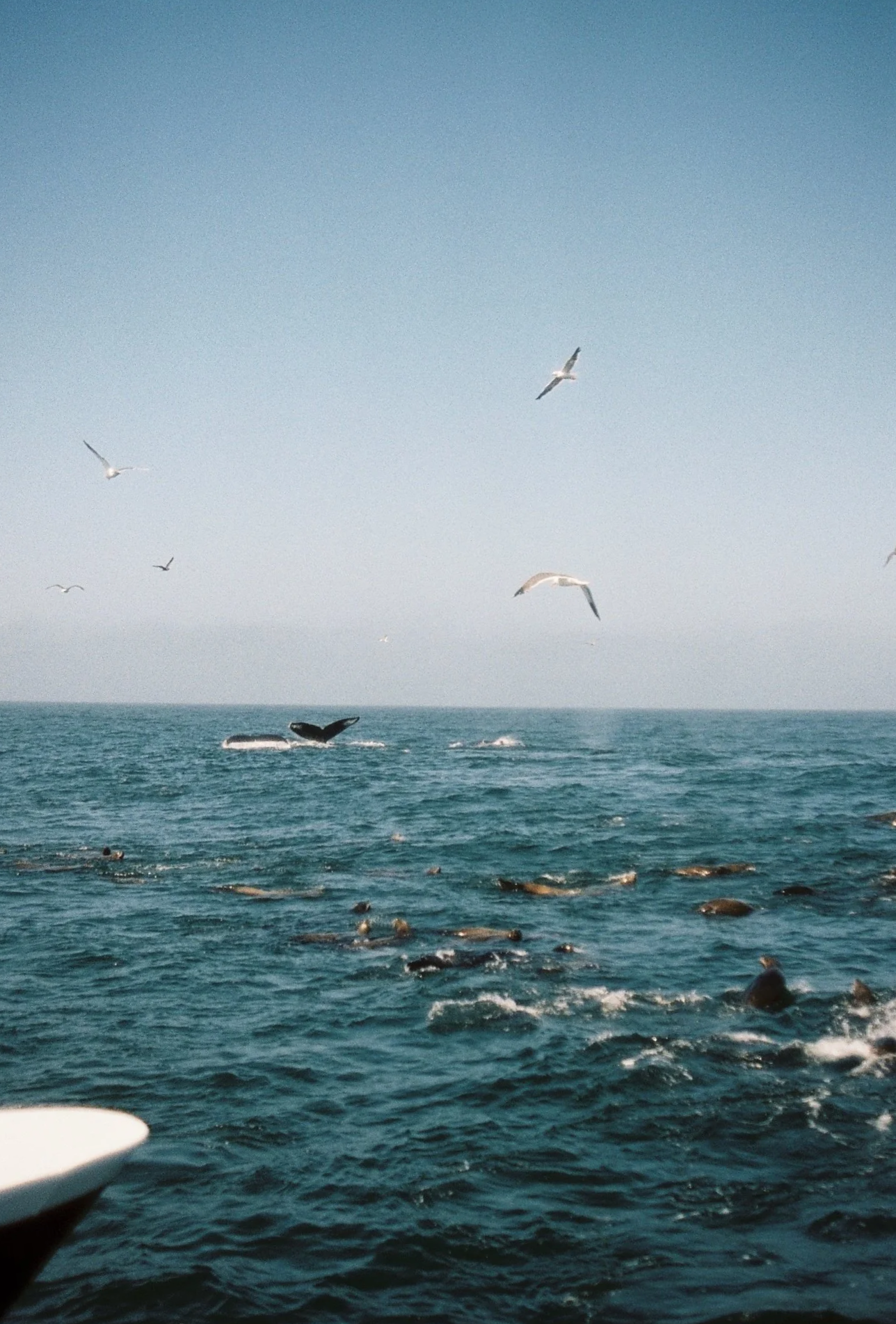 R1-08126-0023.png