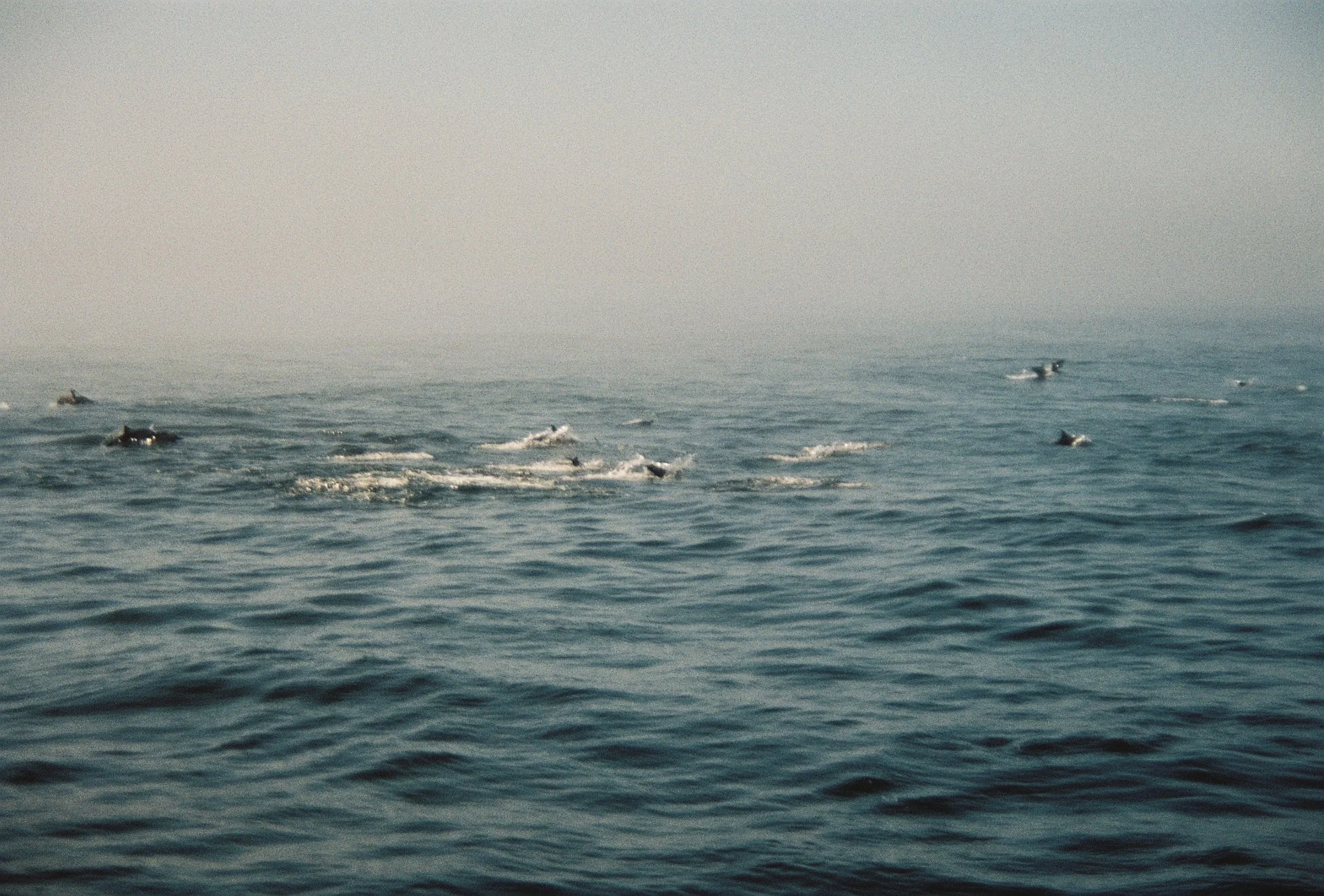 R1-08126-0026.JPG