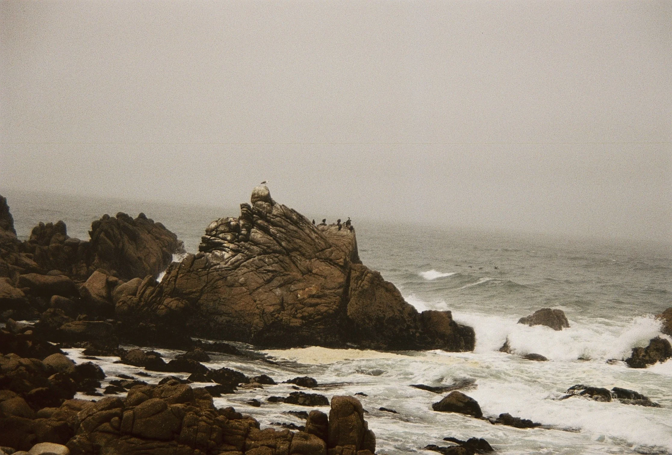 R1-08126-0004.JPG