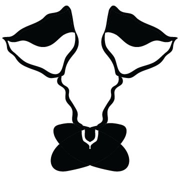 Vingla Logo Glasses Black White.png