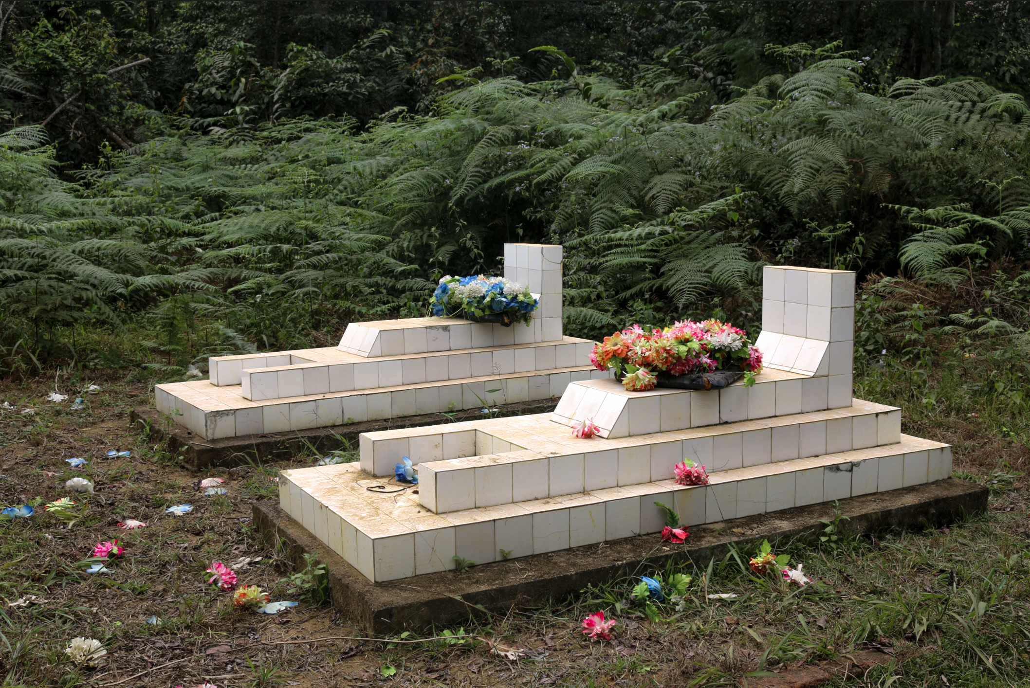 Screenshot 2026-02-23 at 6.06.19 PM.png