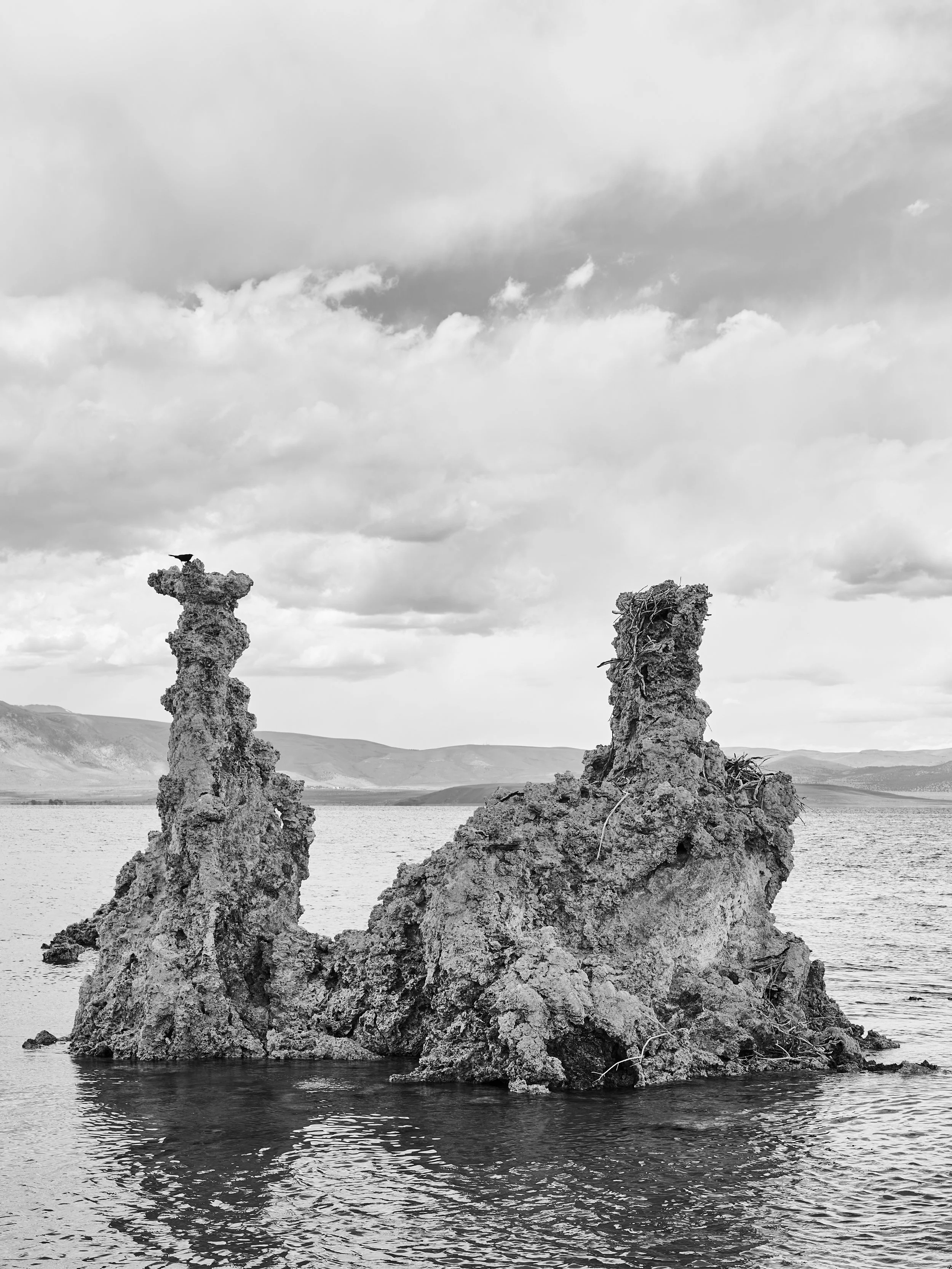 A black and white photo of two large tufa formations rising from a Mono Lake, with a hawk perched on top of the left rock. The background shows distant land and a cloudy sky.