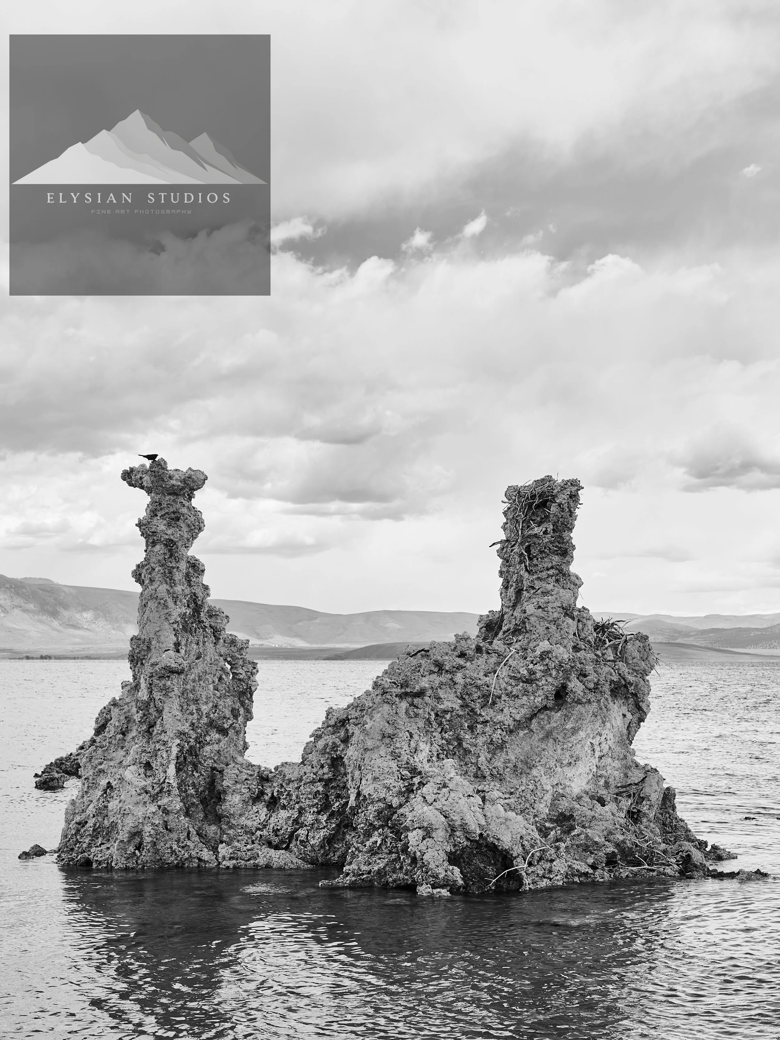Black and white photo of two large, rugged rock formations protruding from the water, with a crow perched on the left formation, and a mountain range in the distance under a cloudy sky.