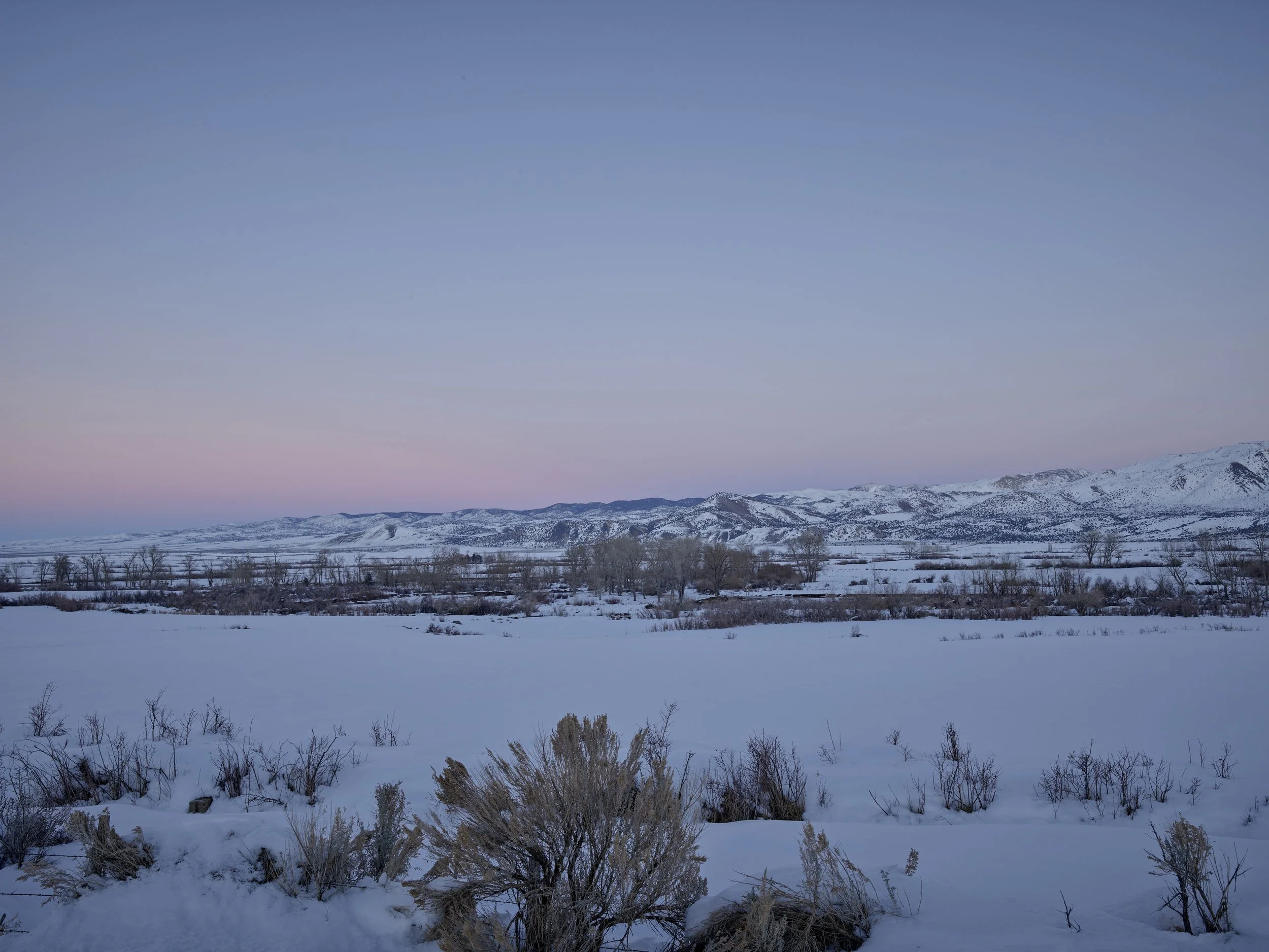 Snow-covered landscape with distant mountains, sparse trees, and a pastel pink and blue sky at dusk or dawn.