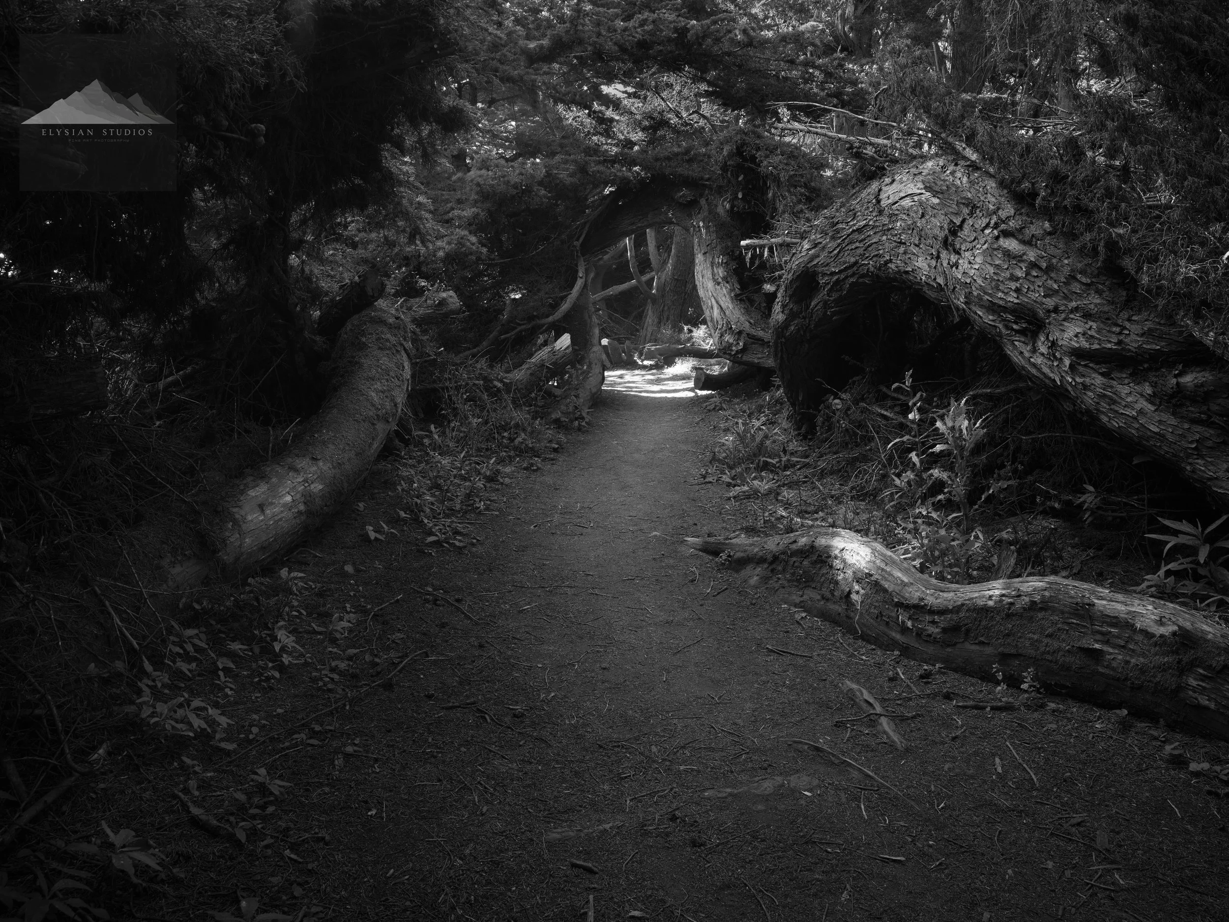 Invitation