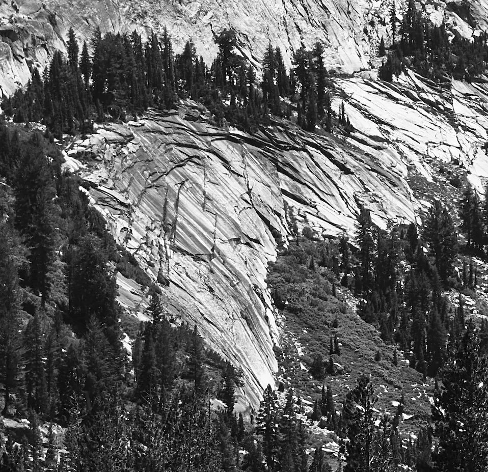 Black and white photograph of a steep mountain slope with large, striated granite rock formations and dense pine trees.