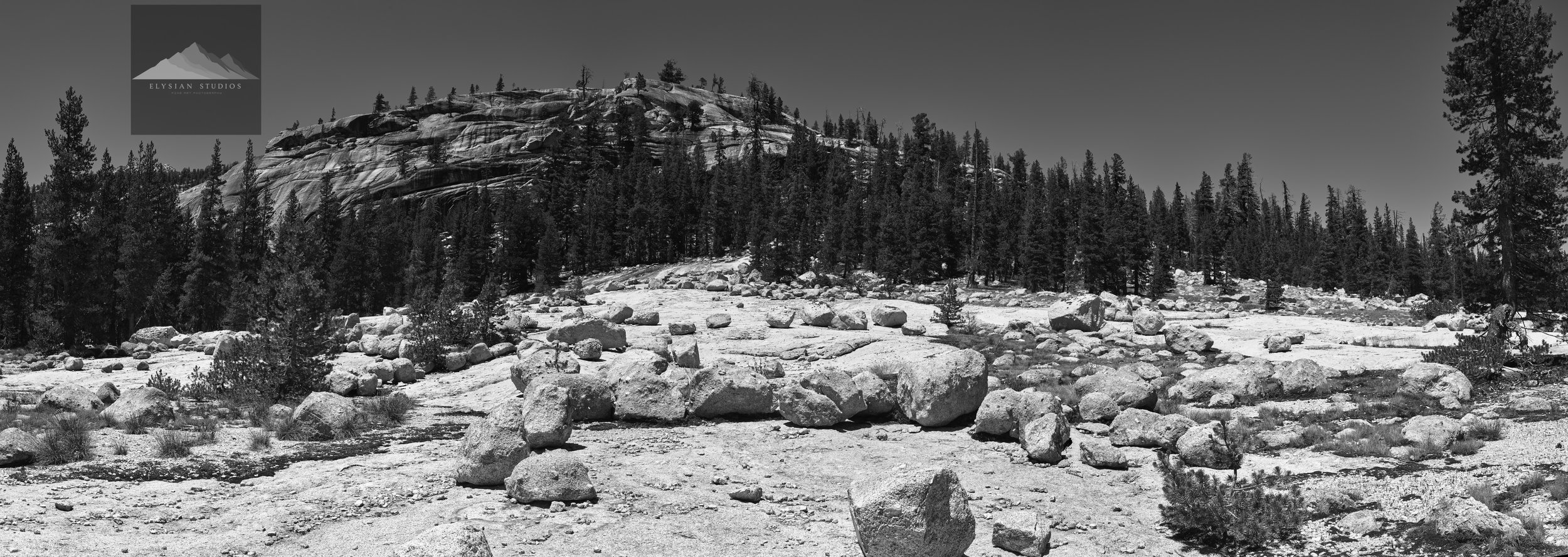 Black and white photo of a rocky mountainous landscape with pine trees and large boulders.