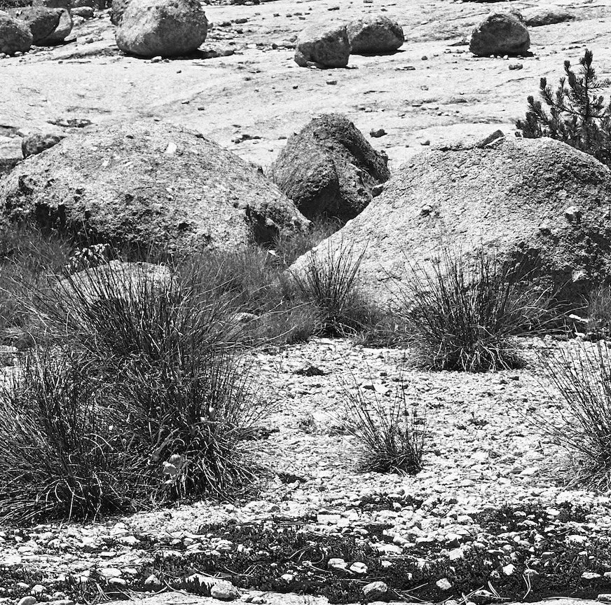 Black and white photo of a rocky desert landscape with large boulders and dry bushes.