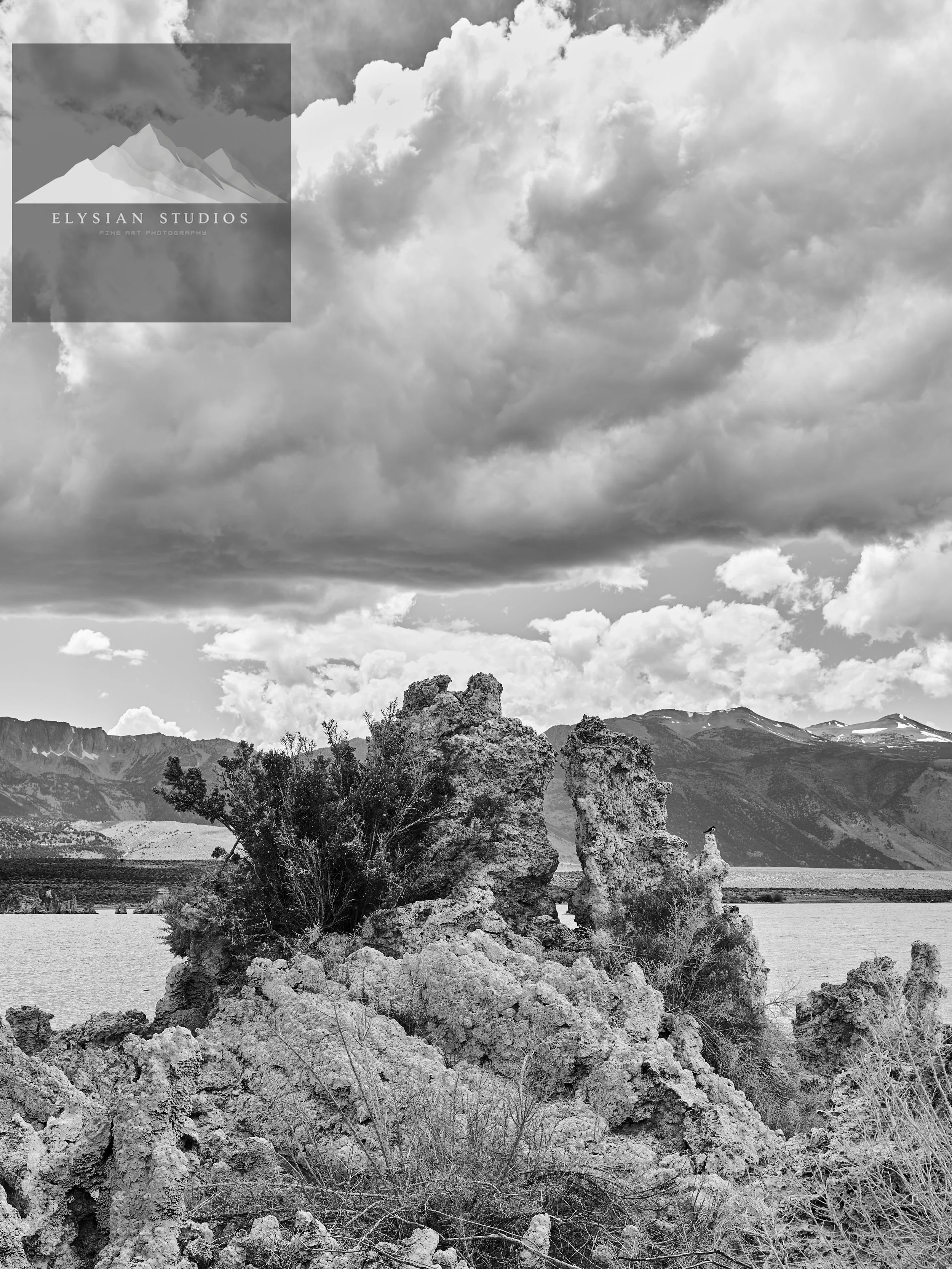 A black and white landscape photo of rocky terrain with a large rock formation, trees, and mountains in the background under cloudy sky.