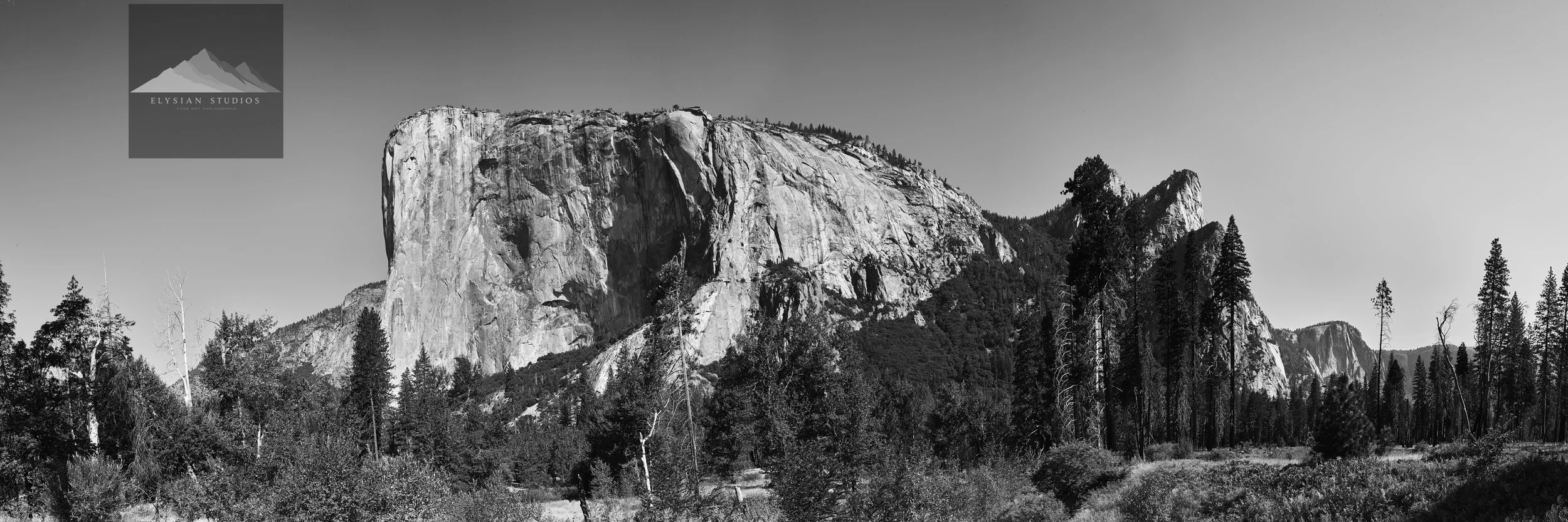 Black and white photograph of a large granite rock formation surrounded by trees in a forested area.