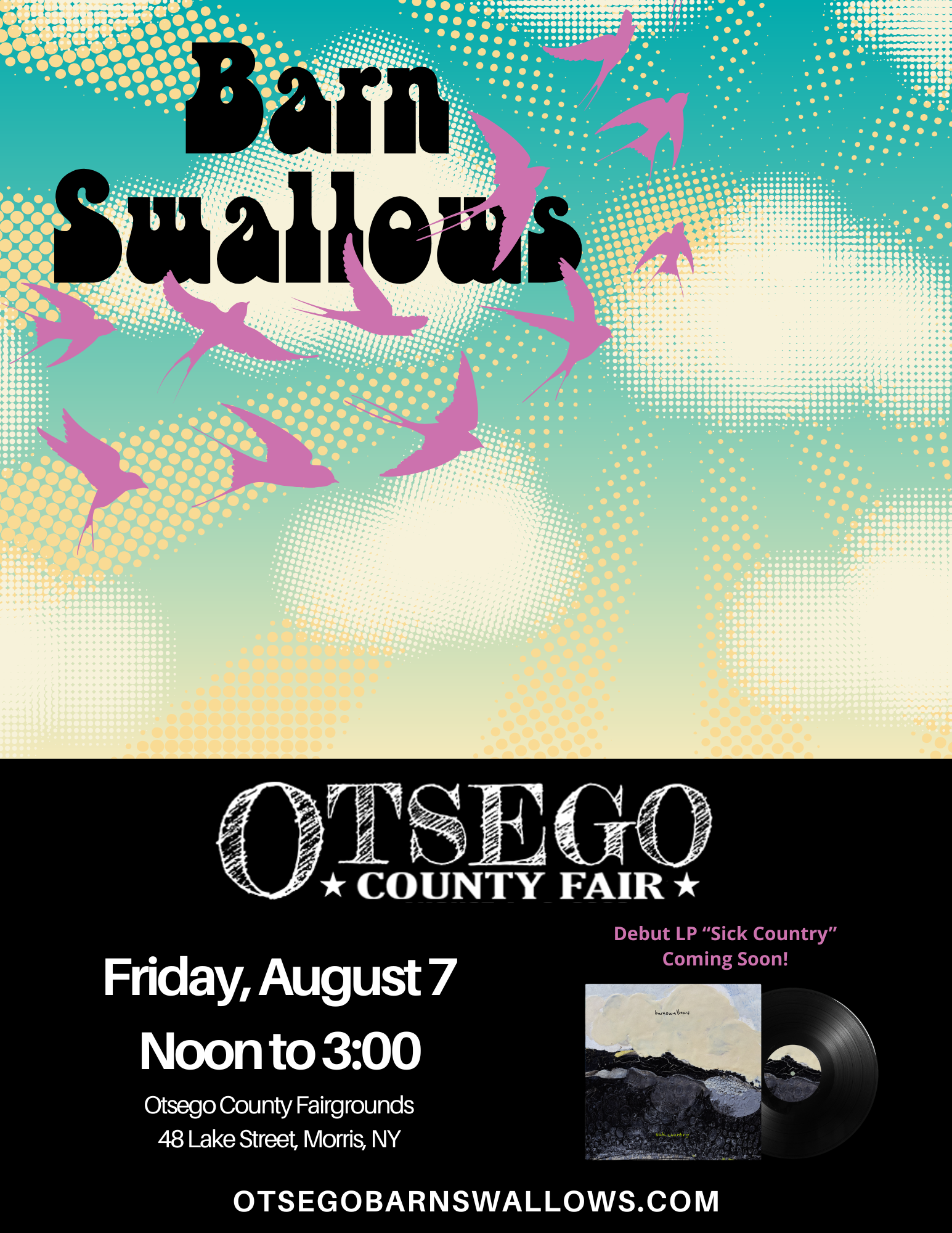 Barn Swallows @ Otsego County Fair