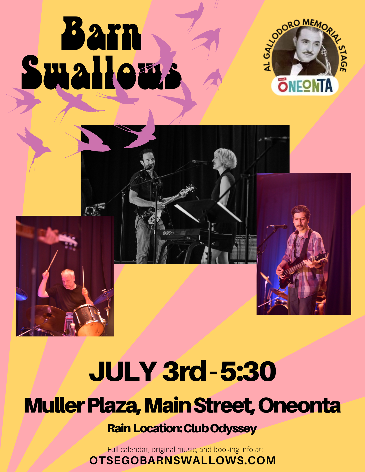 July 3rd Barn Swallows Oneonta.png