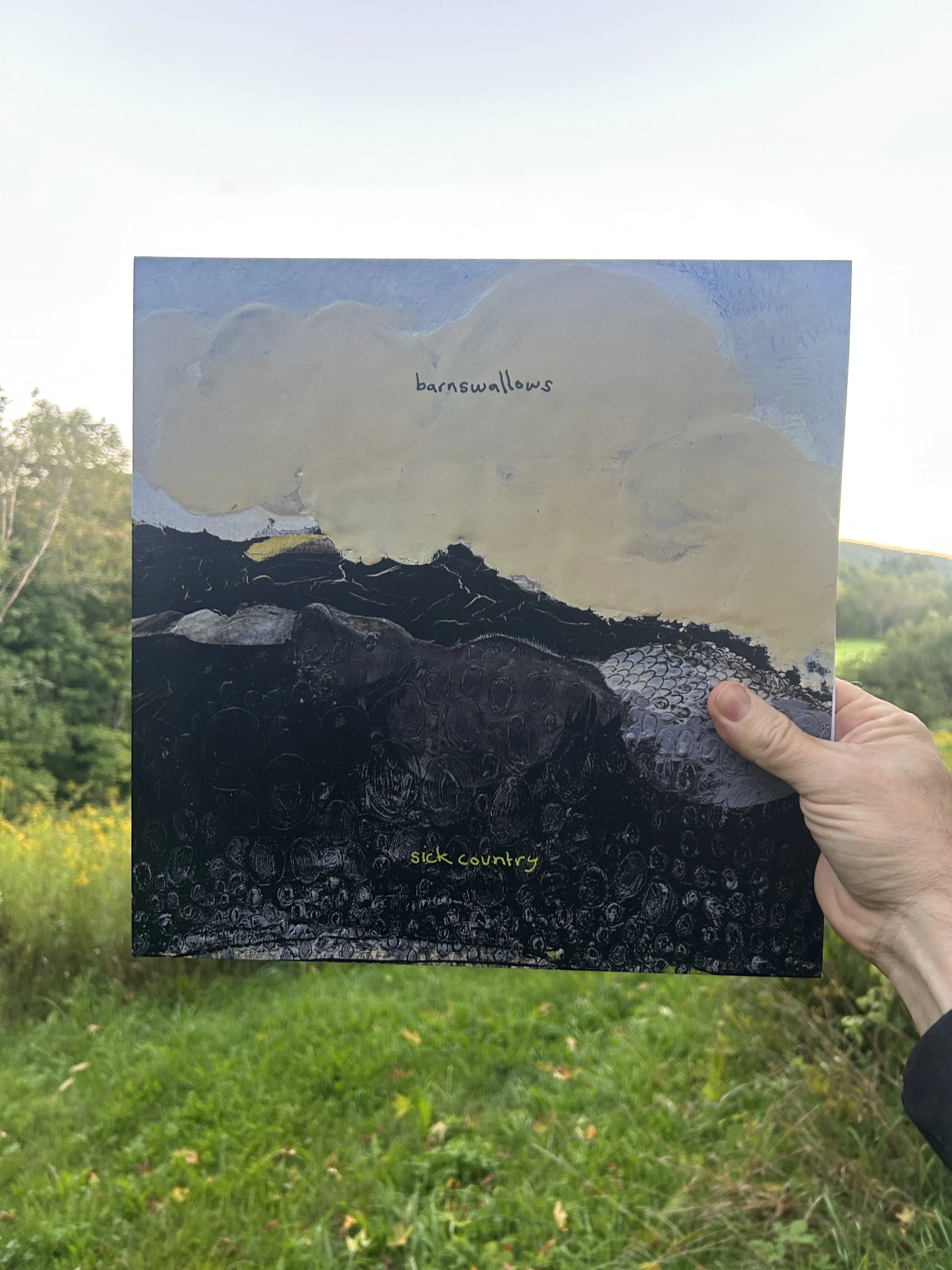 Sick Country - Full Length Vinyl LP by Barnswallows