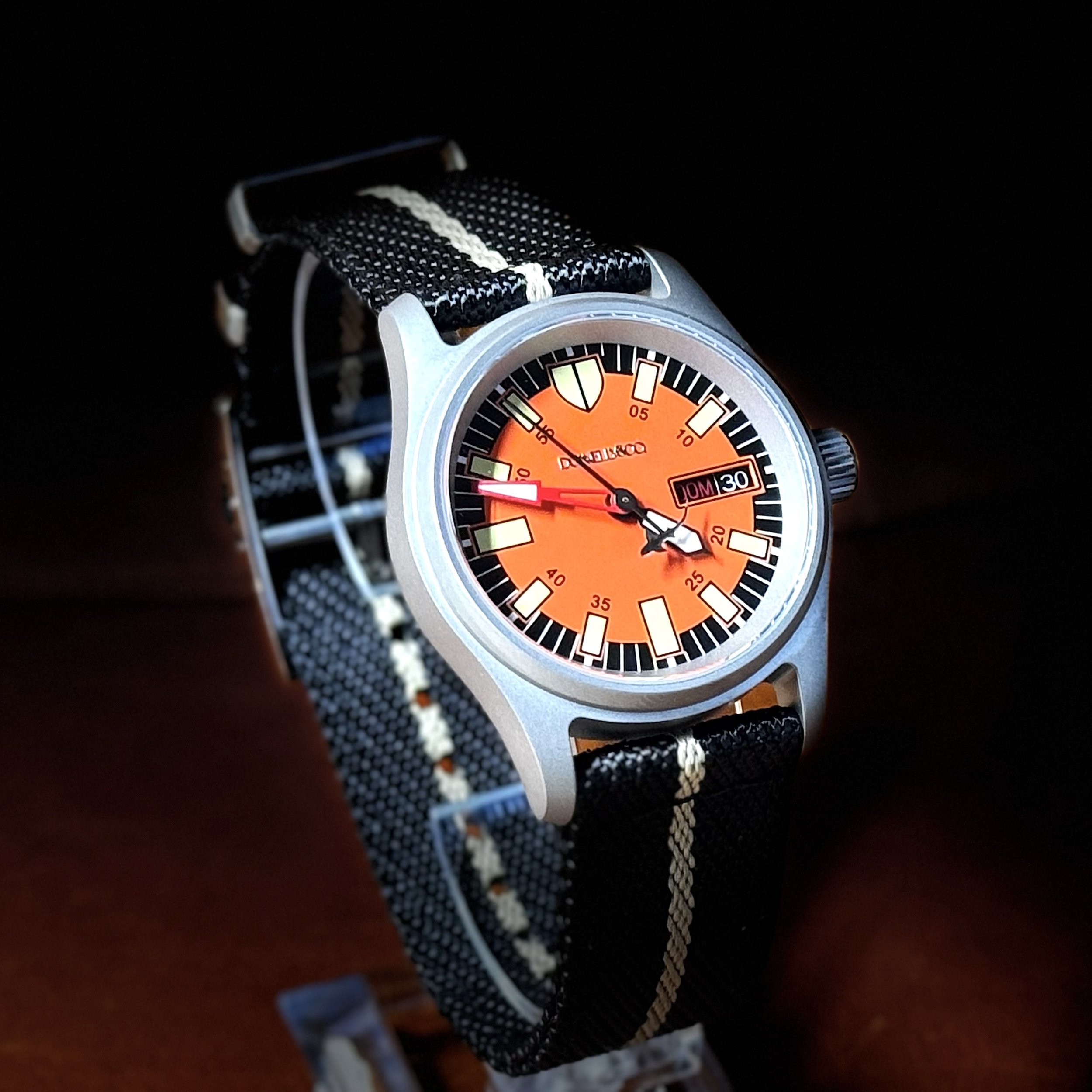 "Tigerfin" - March, 2025