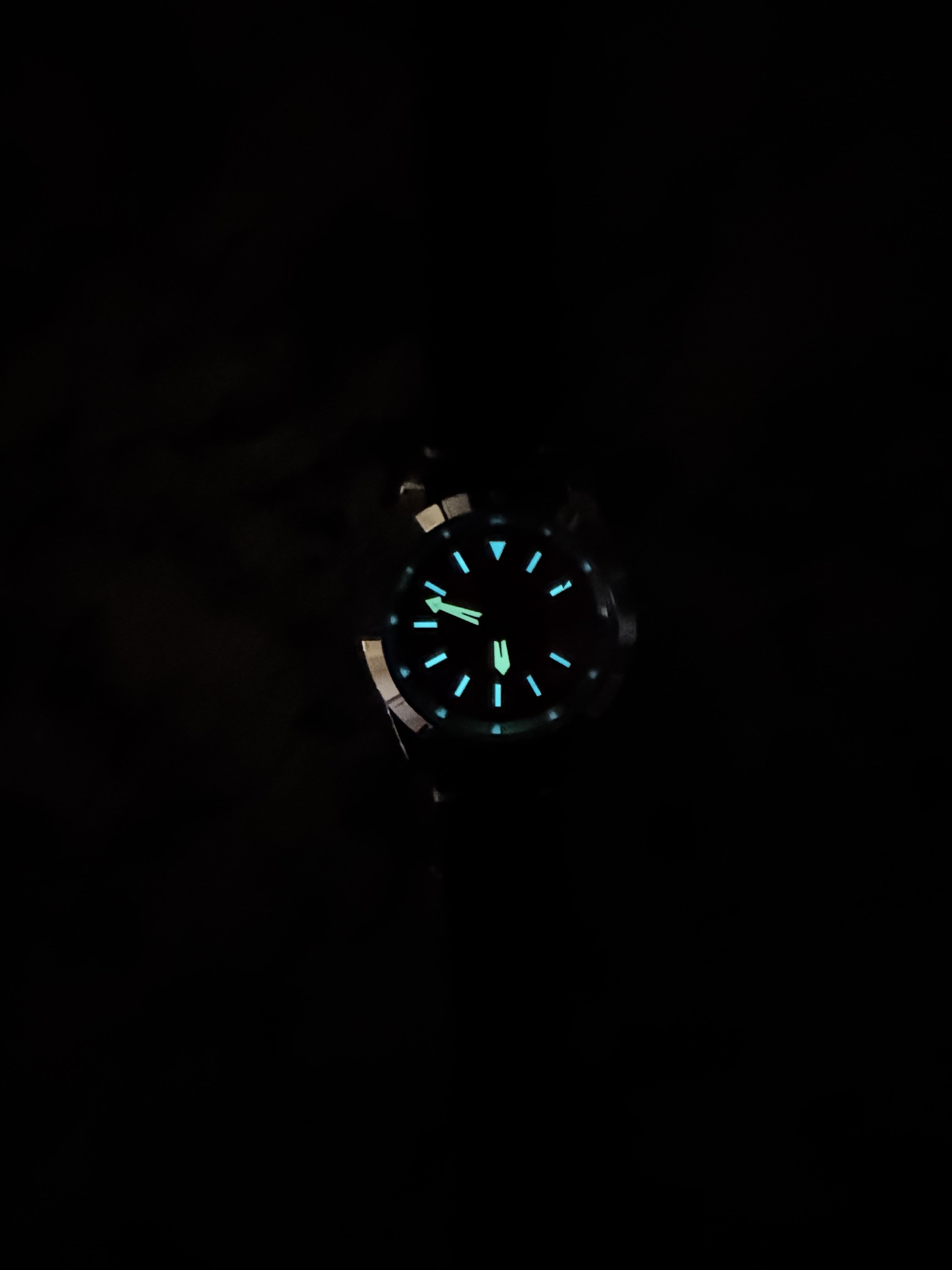 IMG_8228.jpeg