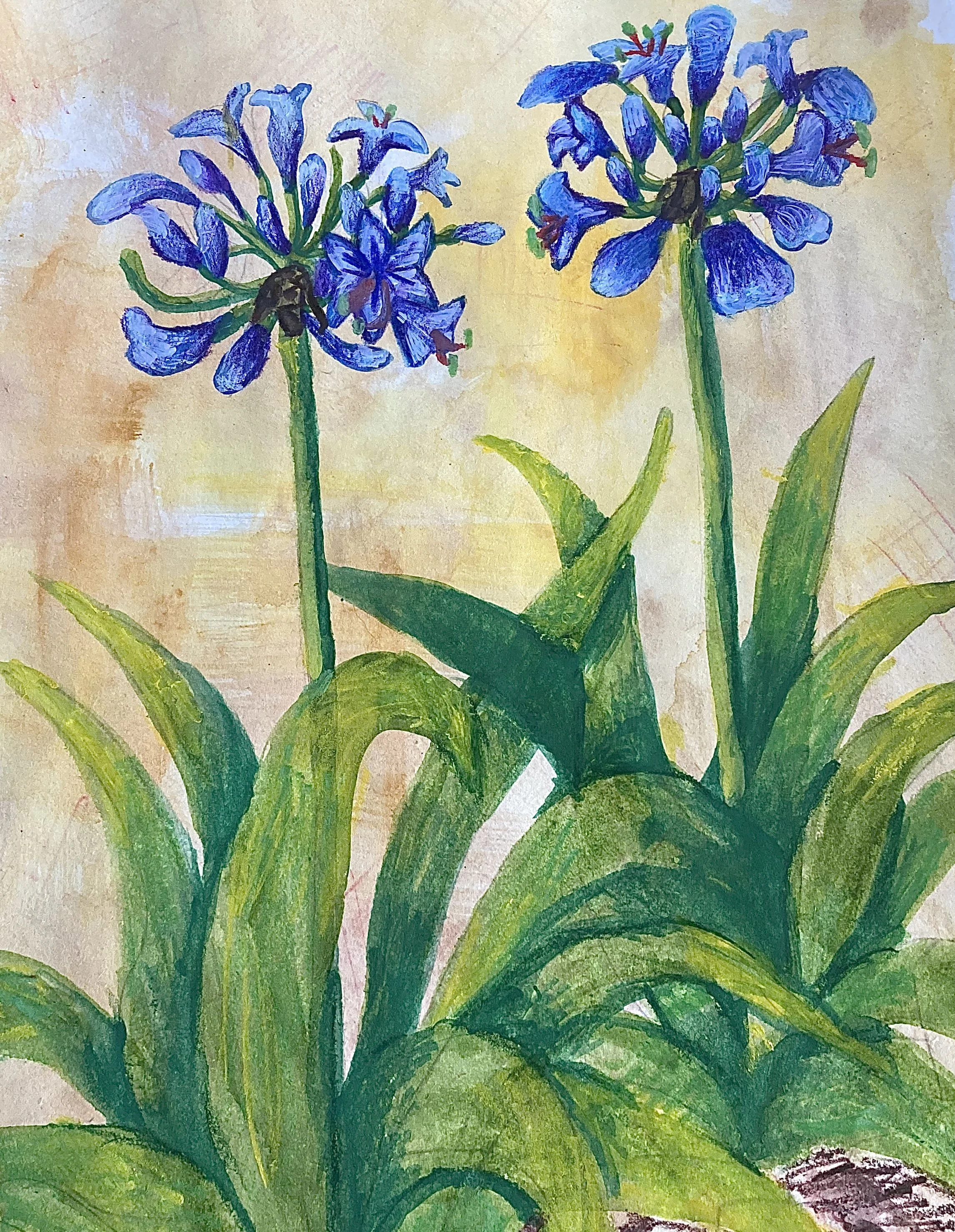 Painting of two tall purple agapanthus with green leaves on a textured background.