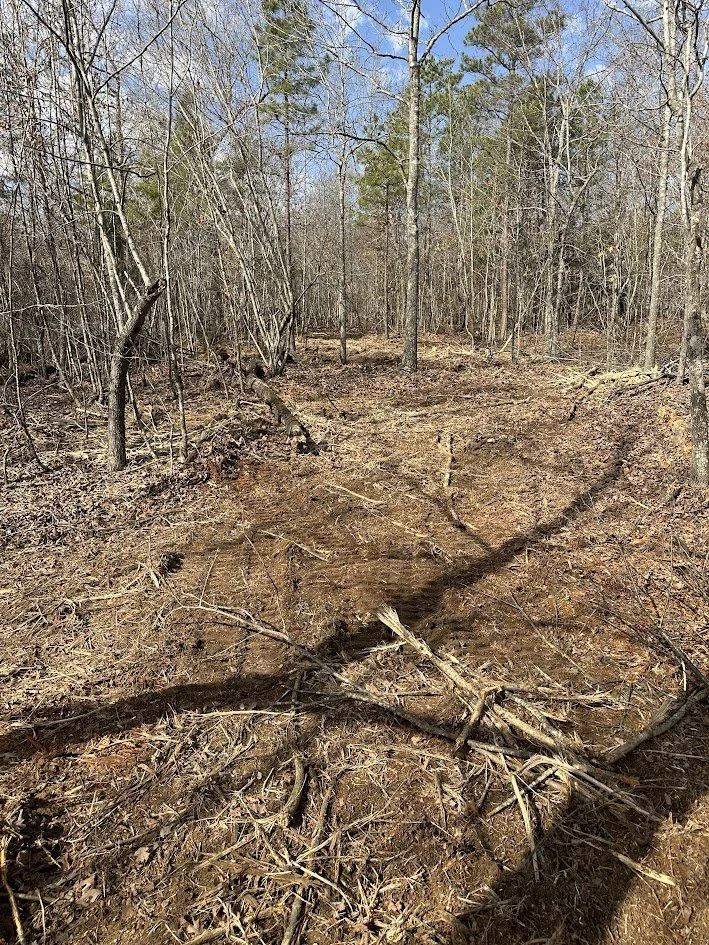 Forestry-Mulching-After-Fredericktown-MO.JPG