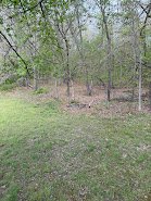 Forestry-Mulching-Before-Imperial-MO.JPG