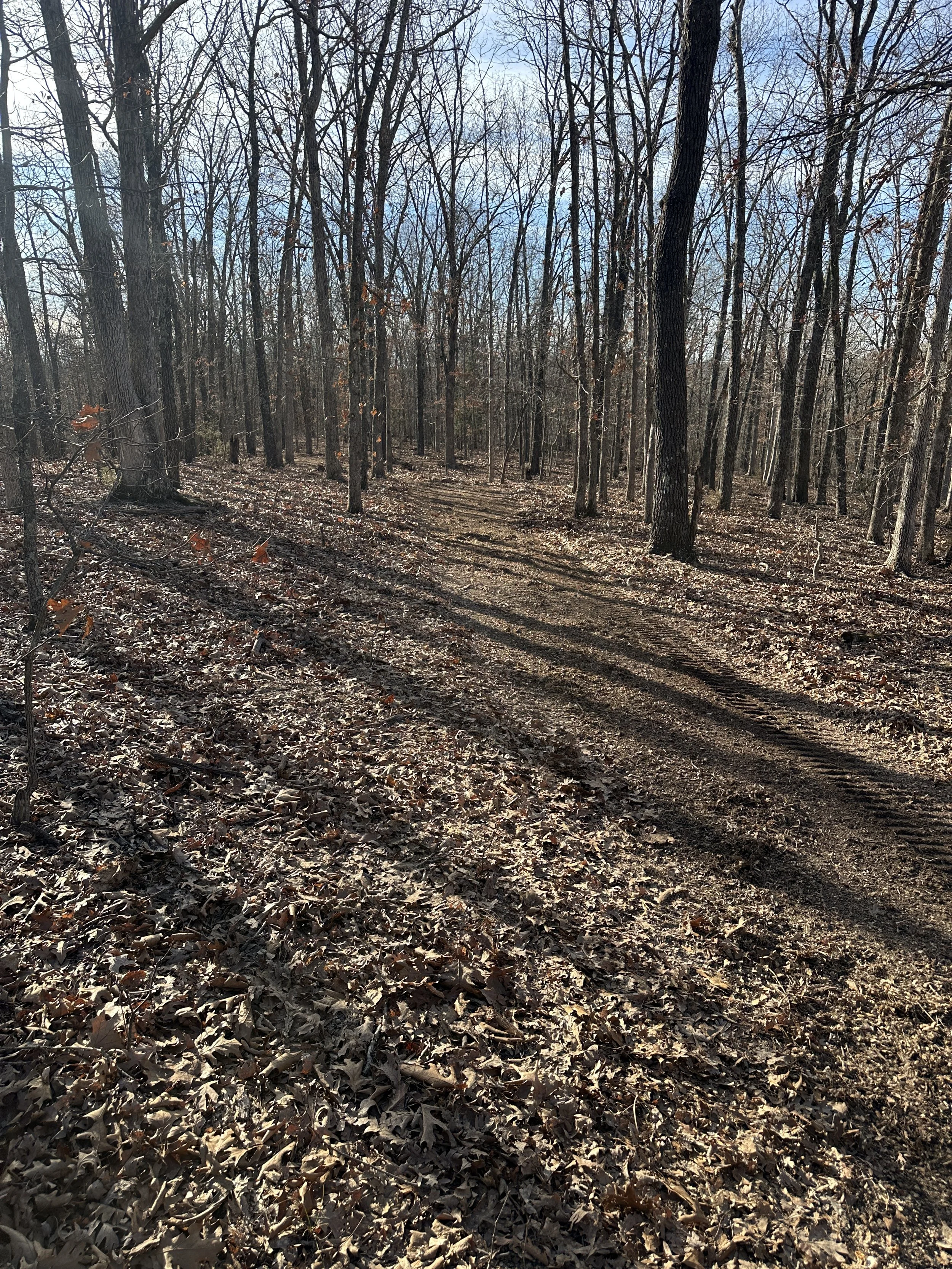 Forestry mulching trails in Sullivan MO