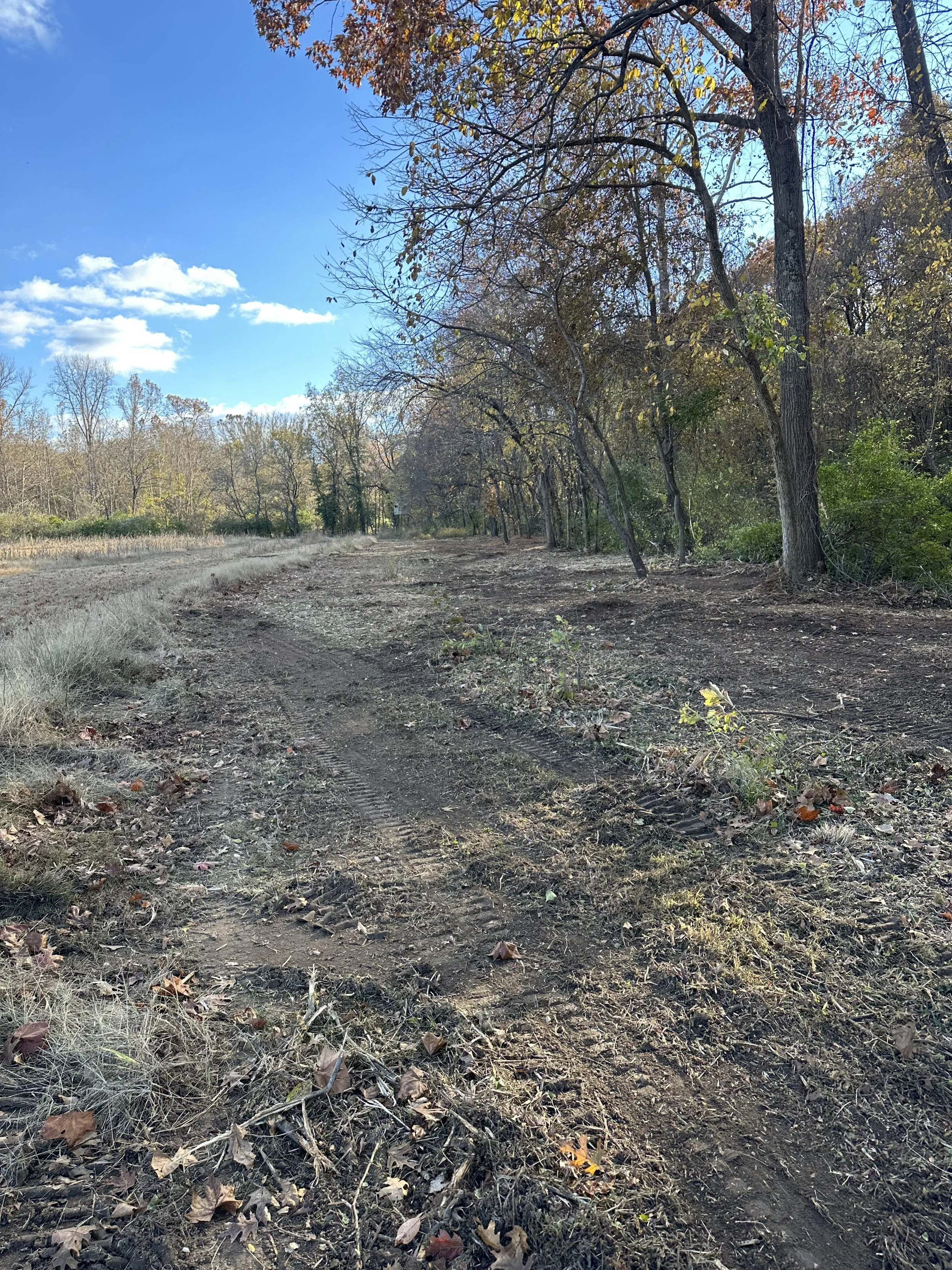 after forestry mulching in overgrown field edge Hillsboro MO